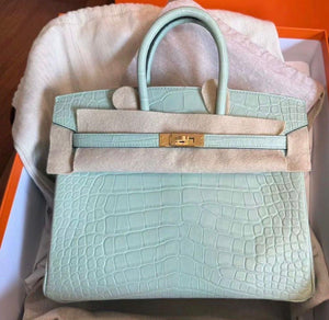 Hermes Birkin25 Vert d’Eau Matte Alligator gold hardware
