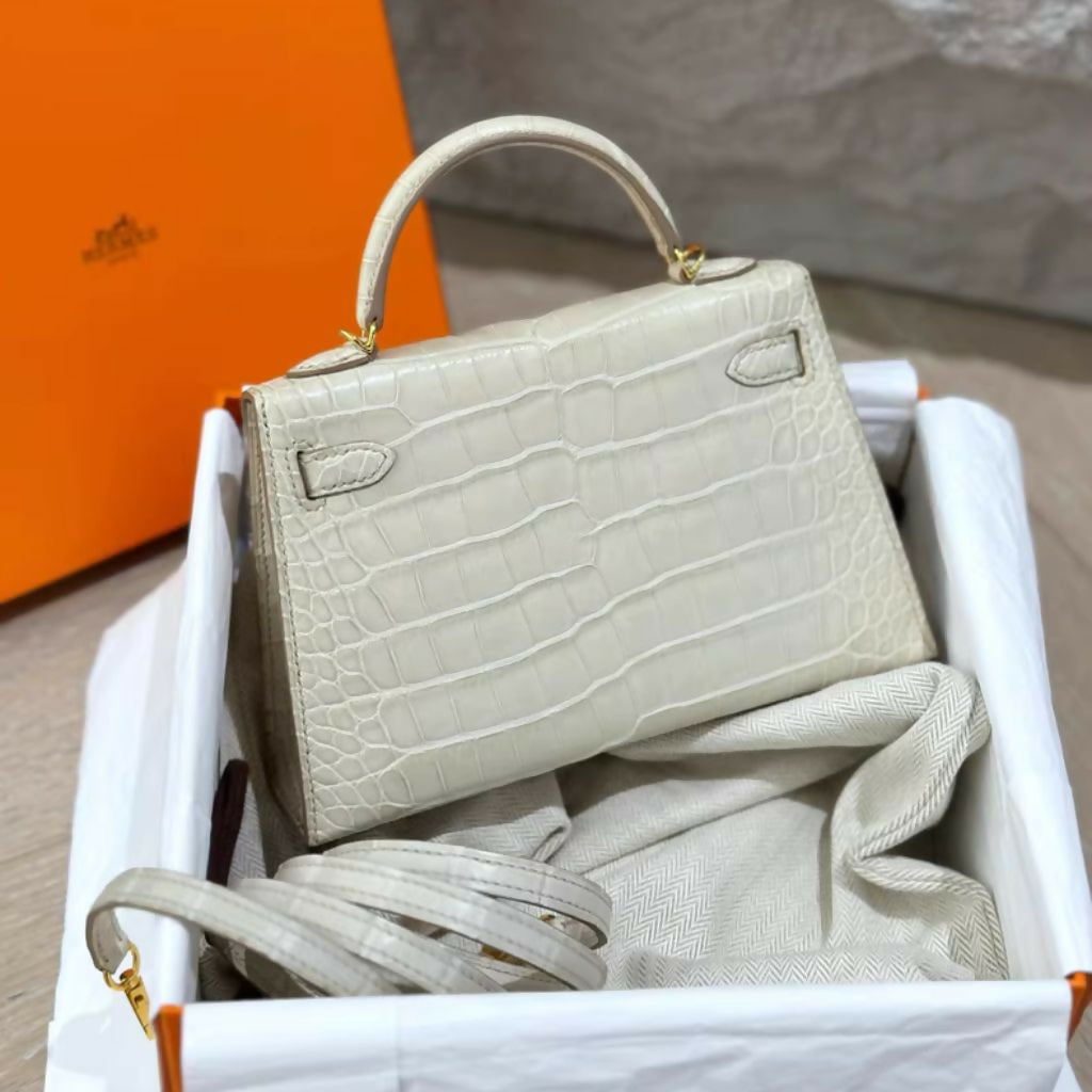 Hermes  nag (3)