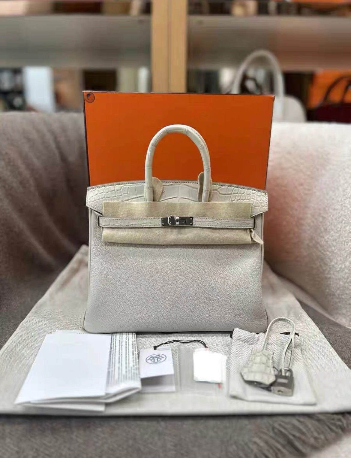 HERMÈS Birkin 25 Touch Beton (8L) Togo Matte Alligator Palladium hardware