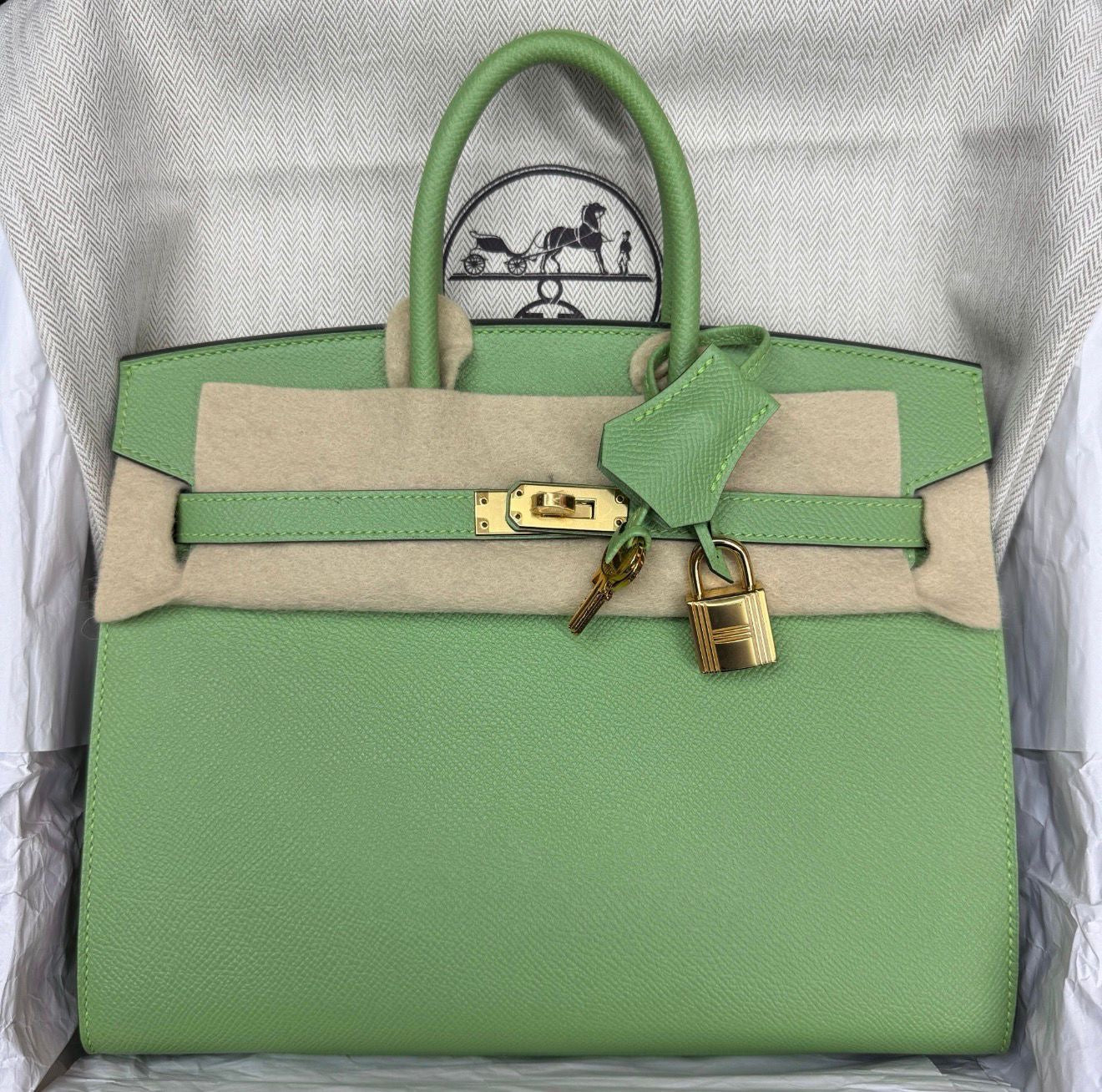 Hermes Birkin 25 Vert Criquet Epsom Gold hardware