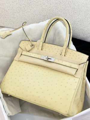 Hermes Birkin30 Parchemin Ostrich Palladium hardware