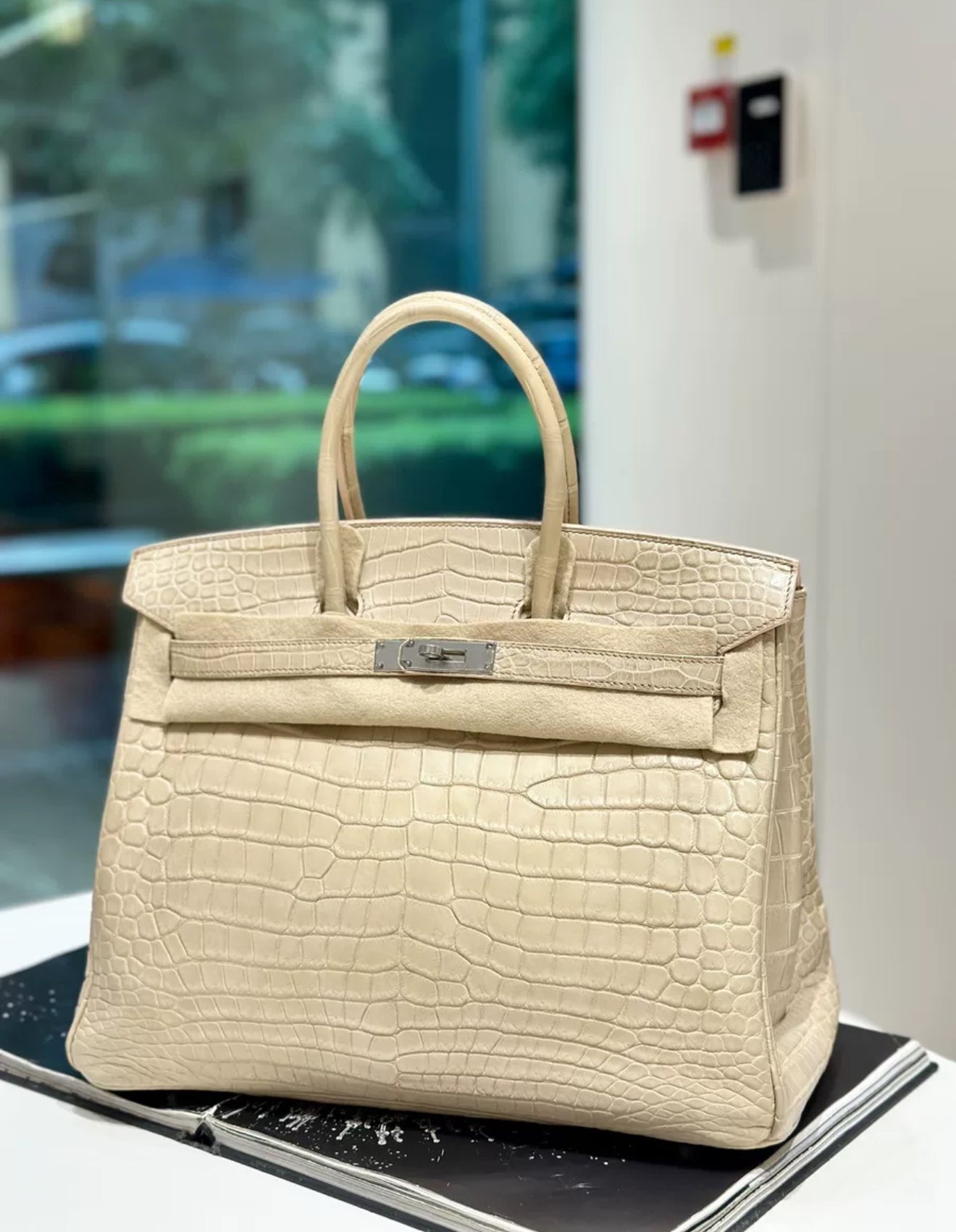 Hermès Birkin 35 Betton Matte Crocodile Leather Palladium hardware
