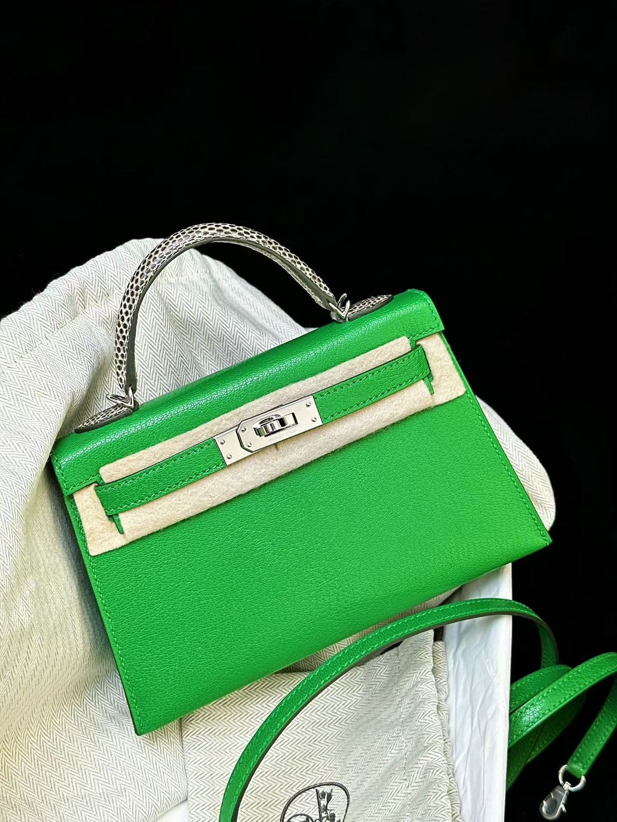 Hermès Mini Kelly 20 Bambou Chevre  Ombre Lizard Palladium hardware