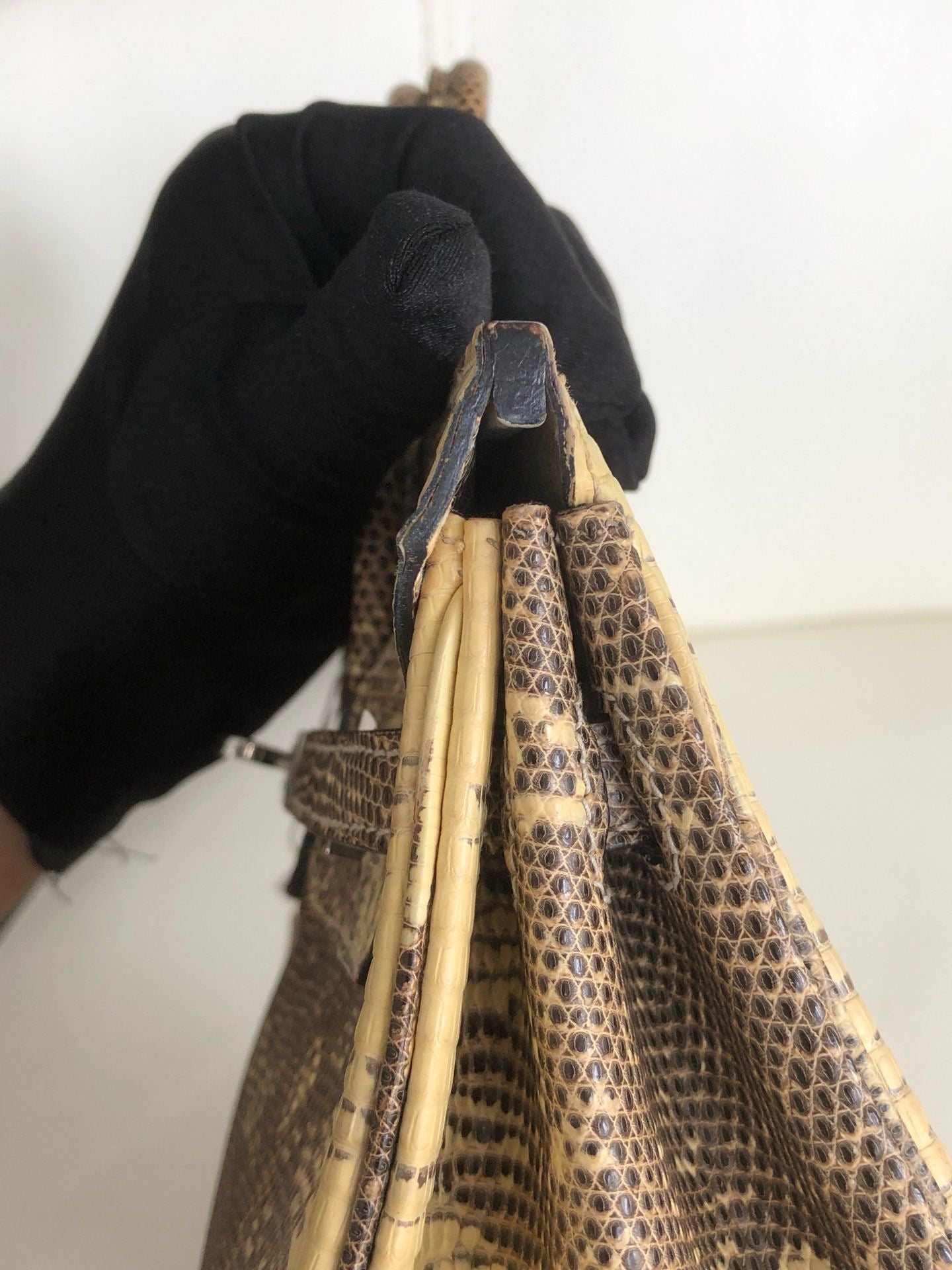 Hermès Birkin 25 Ombre Varanus Salvator Lizard Palladium Hardware