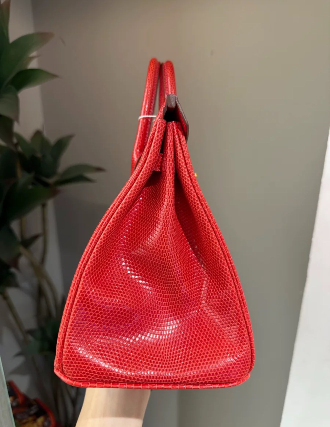 Hermes Birkin 25 Rouge Exotic Lizard Gold Hardware