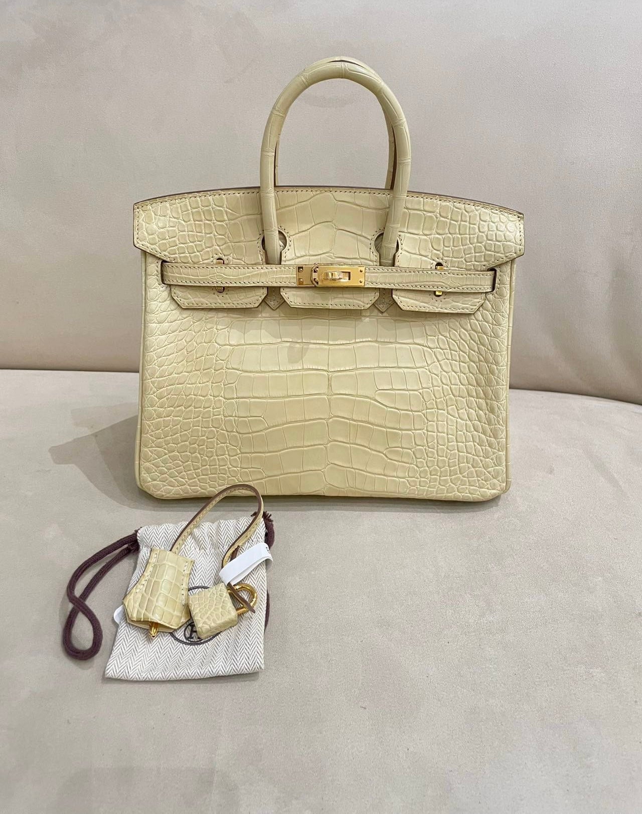 Hermes Birkin 25 Y1 Vanille Matte Crocodile Leather Gold Hardware