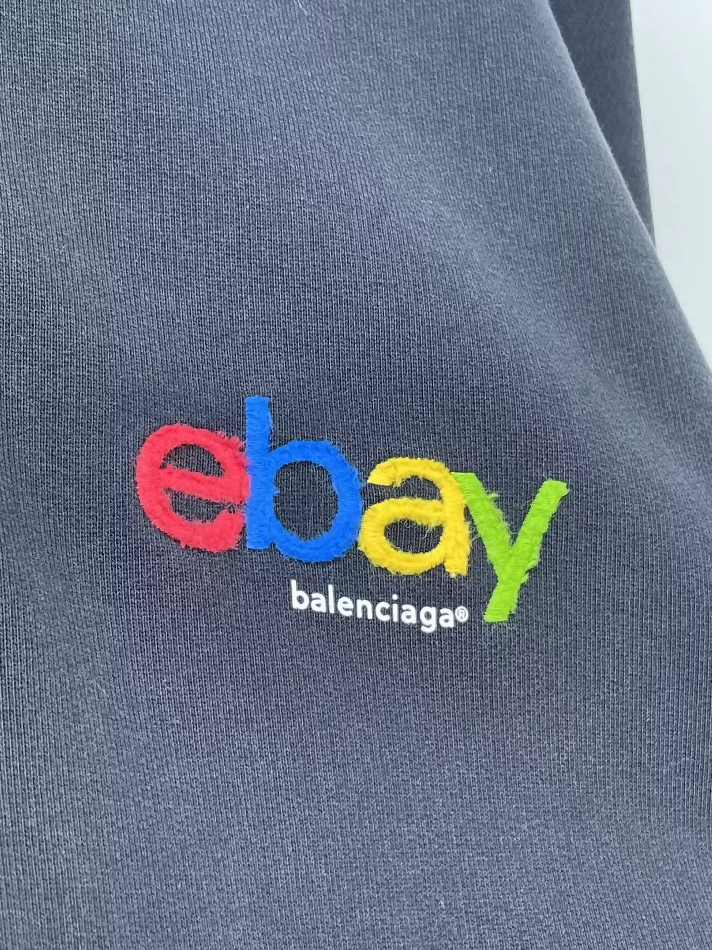 Balenciaga Eaby collaboration hoodie