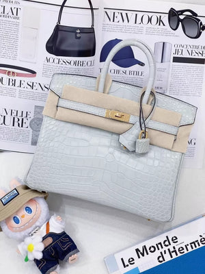 Hermès Birkin 25 Gris Neve 0W matte crocodile leather gold hardware