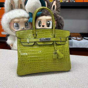 Hermès Birkin 30 Fennel Green Glossy Inverted V Crocodile