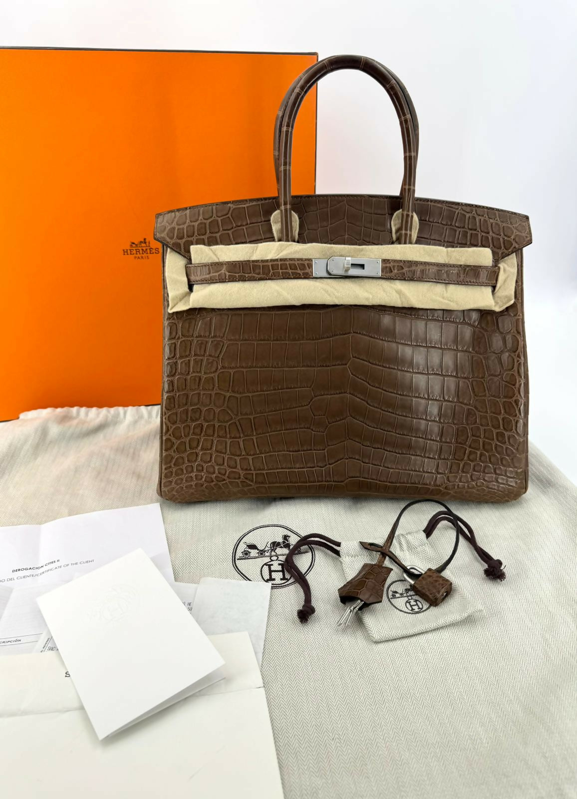 Hermès Birkin 35 Gris Éléphant Matte Niloticus Crocodile with Palladium hardware