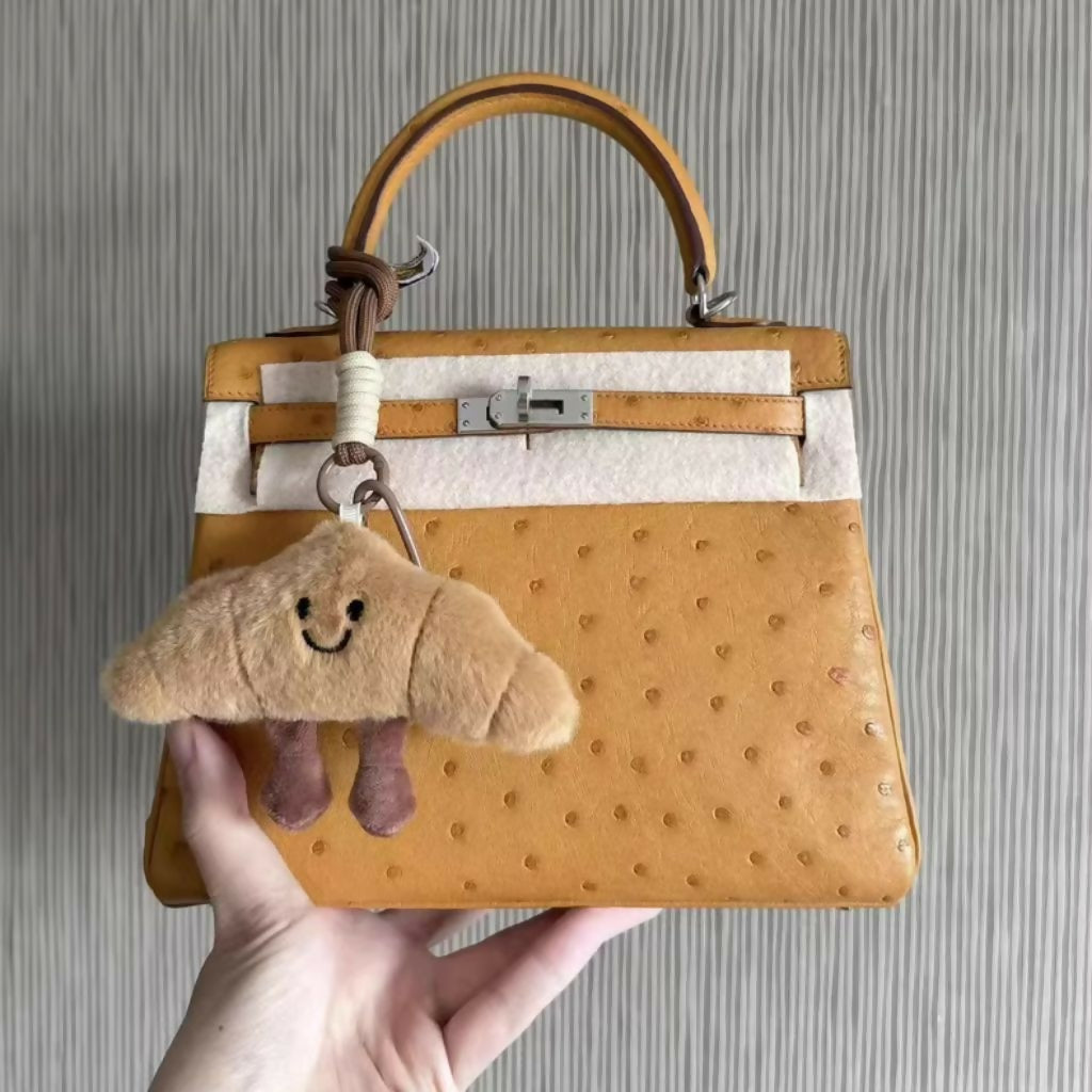 Hermes bag (3)