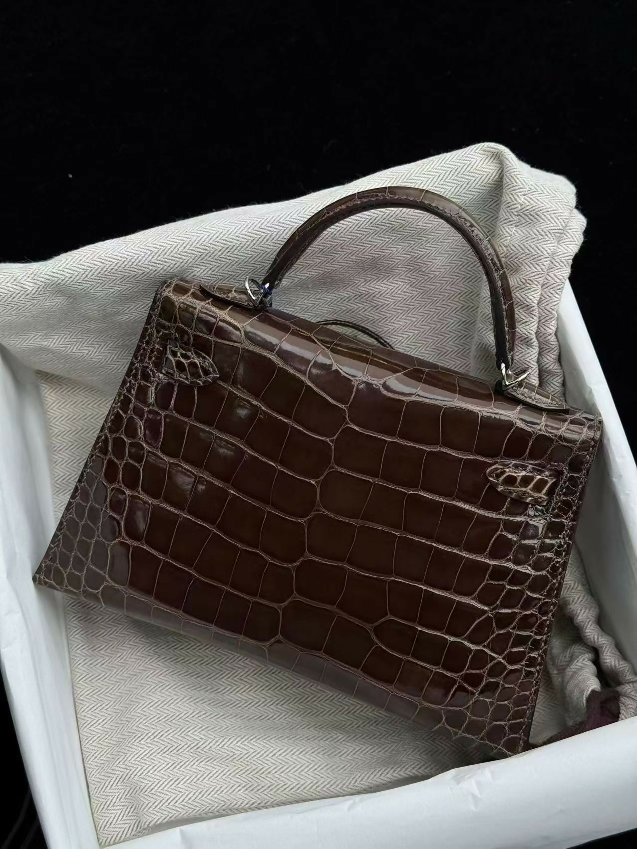 Hermès Mini Kelly 20 8C Gris Elephant Étoupe Alligator Lisse with Palladium Hardware