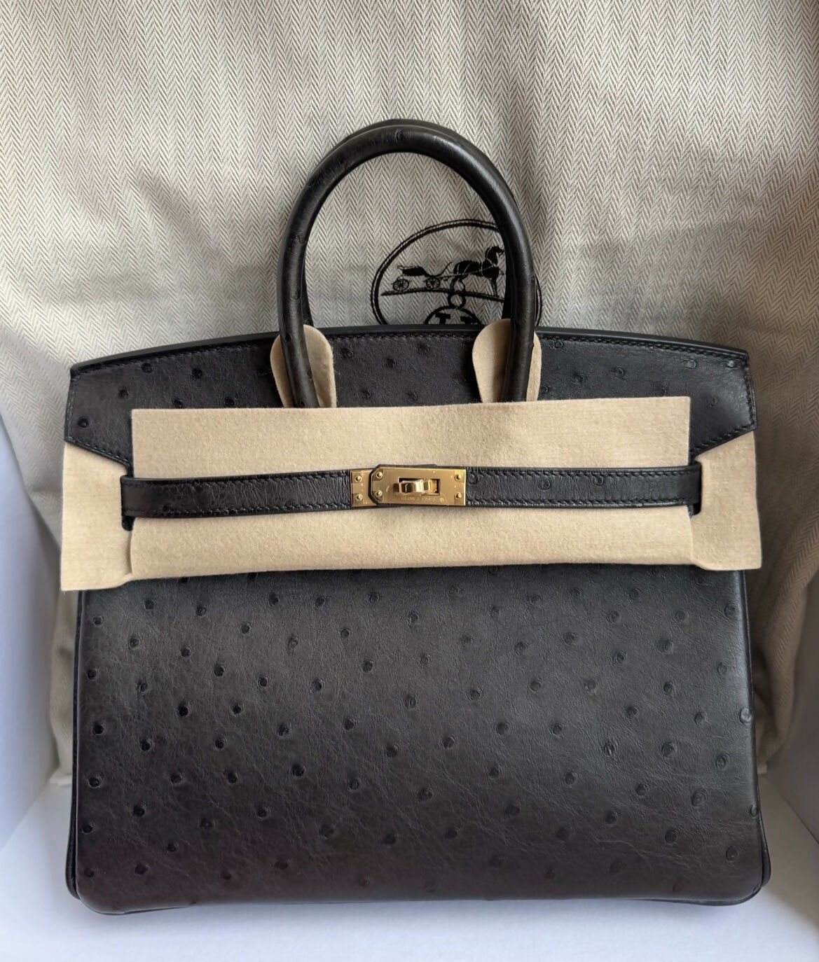 Hermès Birkin 25 Noir Ostrich with Rose Gold Hardware