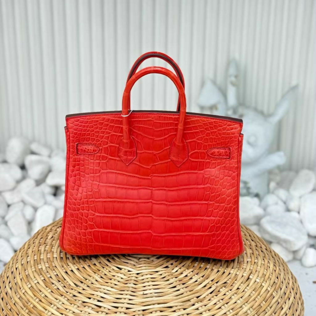 Hermes  nag (6)