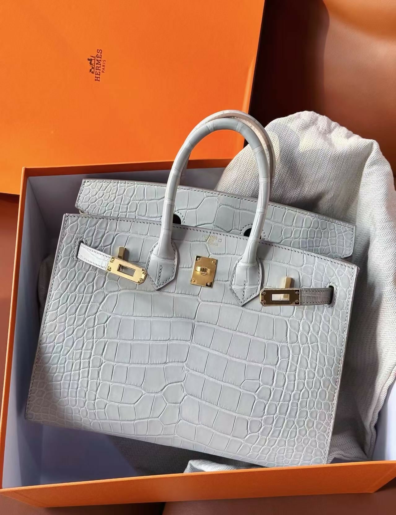 Hermès Birkin Sellier 25 Gris Perle Matte Alligator with Gold Hardware