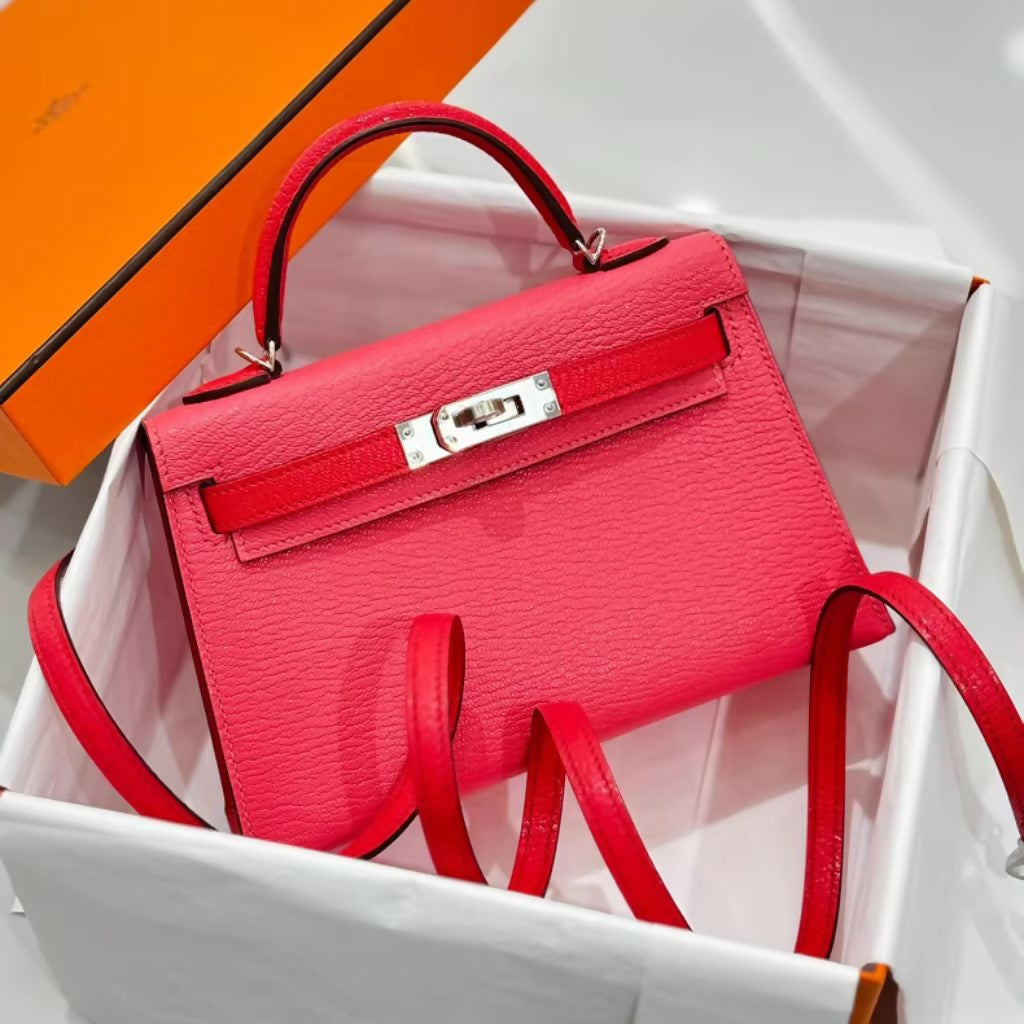 Hermes  nag (4)