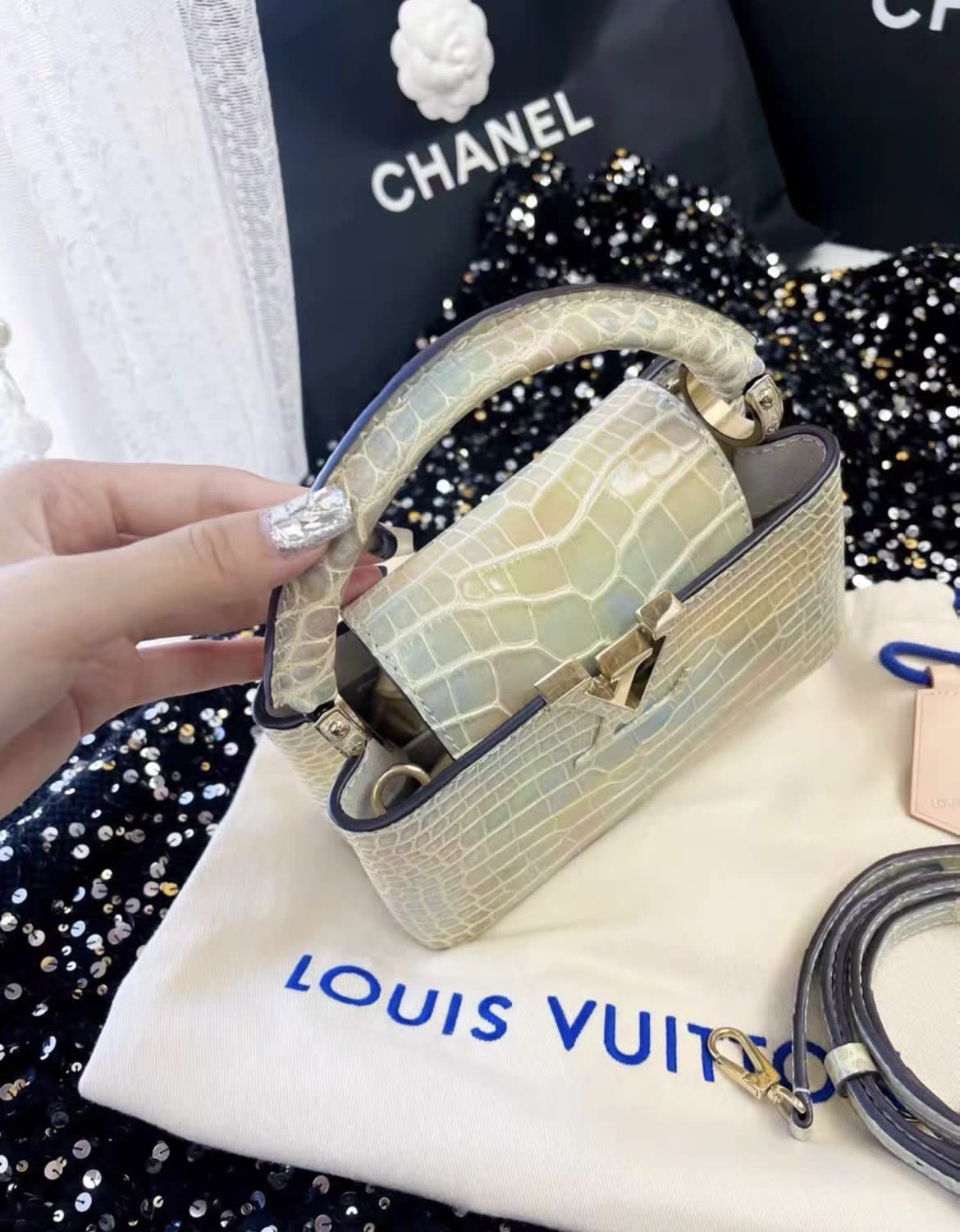 Louis Vuitton Capucines bb colourful alligator  leather bag
