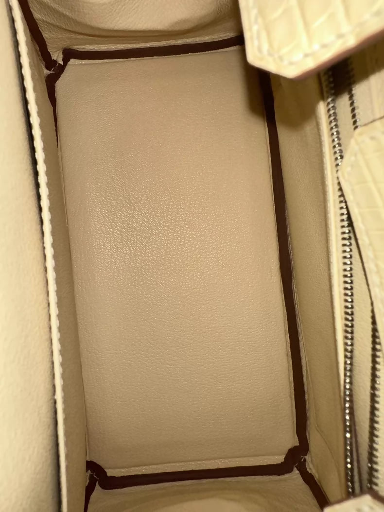 Hermes Birkin 25 Y1 Vanille Matte Alligator leather palladium hardware