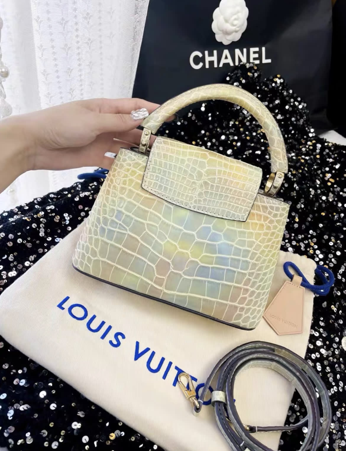 Louis Vuitton Capucines bb colourful alligator  leather bag