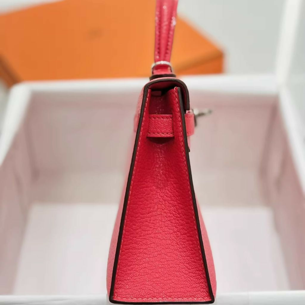 Hermes  nag (3)