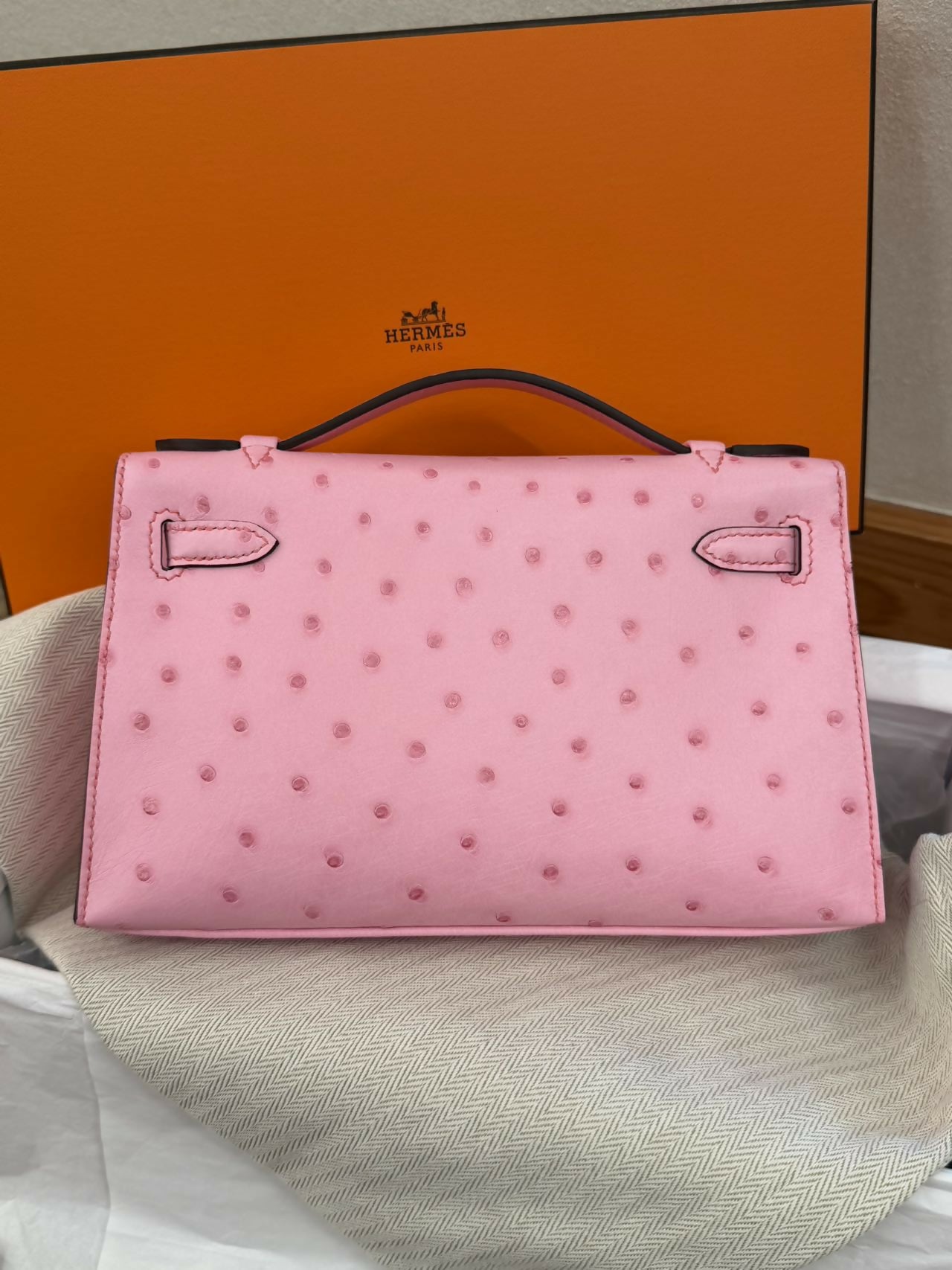 Hermès Mini Kelly 20 Pink Bubblegum Ostrich Leather with Palladium Hardware