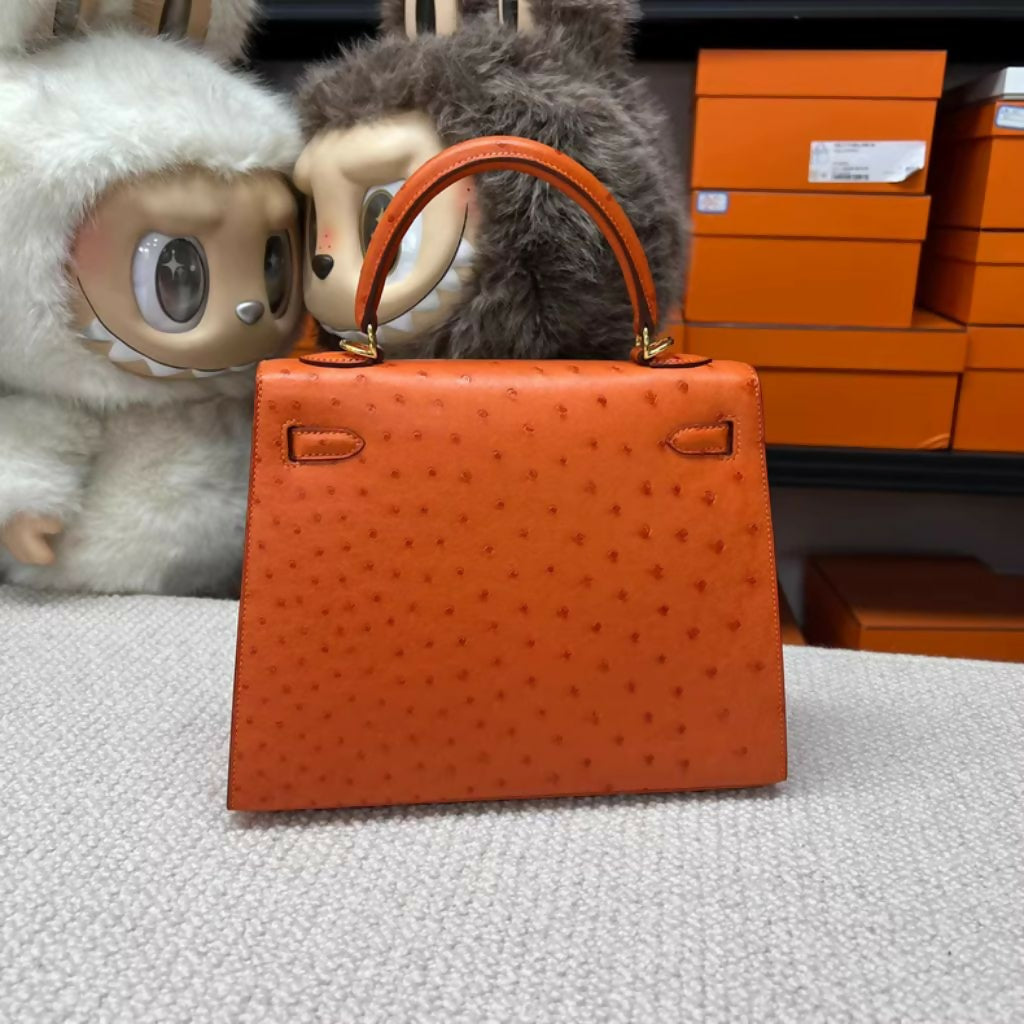 Hermes bag (3)
