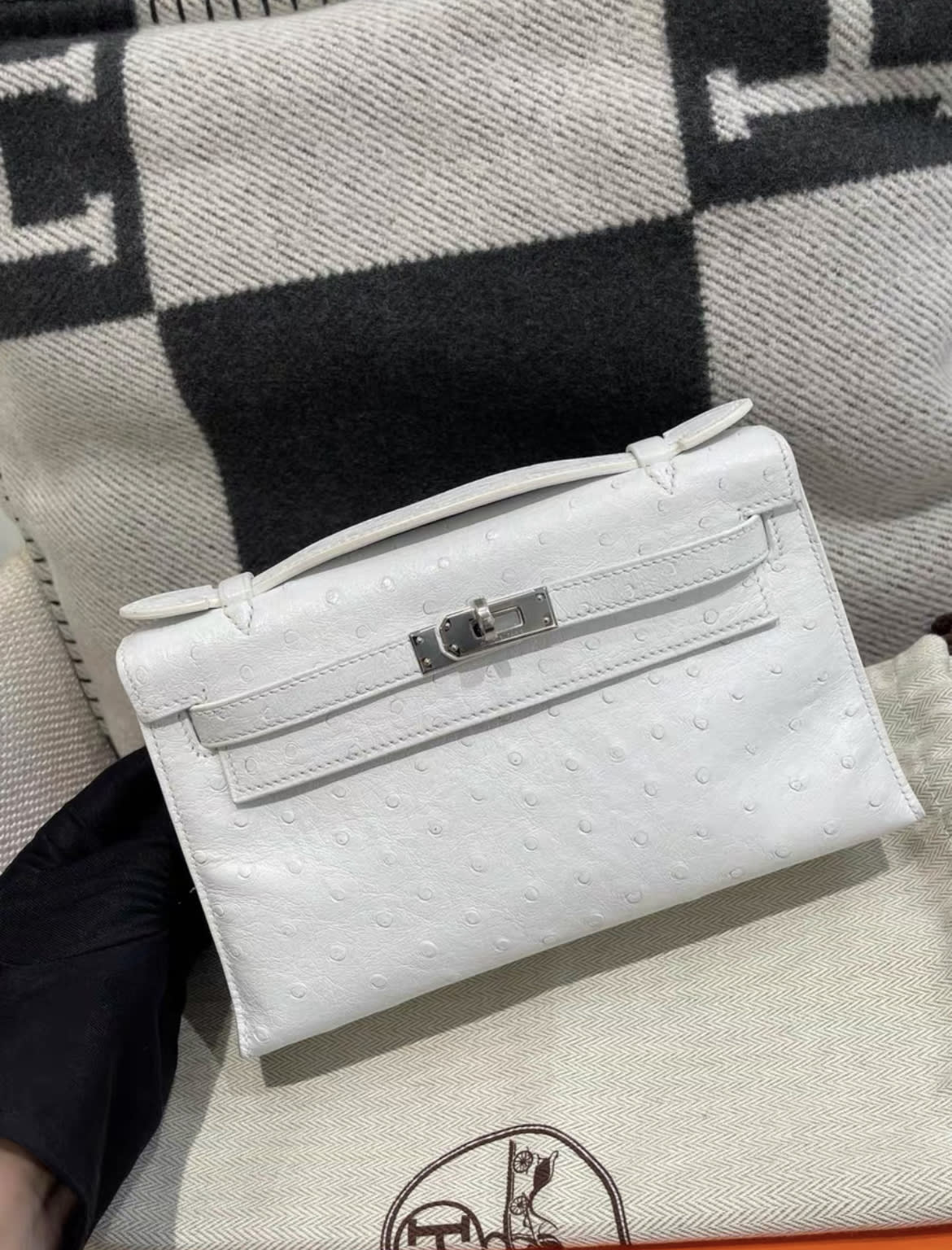 Hermès Hermès Kelly Pochette Nata Ostrich Palladium Hardware - Mini Mini Bag - Secondhand luxury from Top Quality Luxury Designers Bag