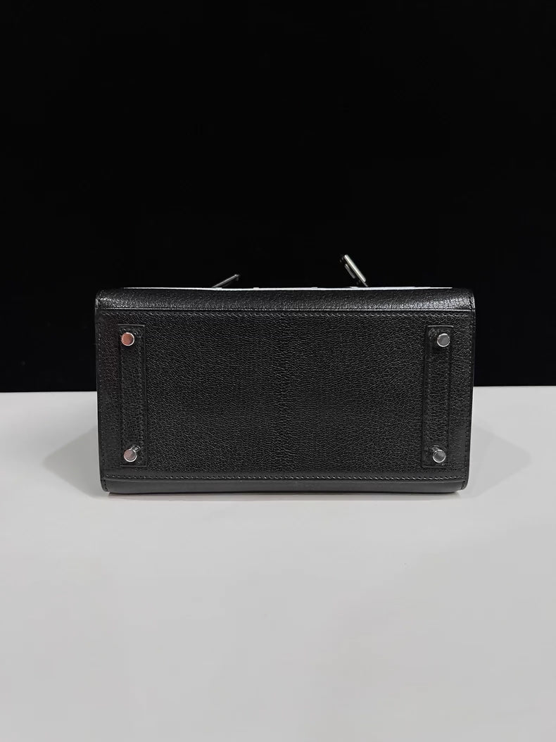 Hermès 20cm Birkin Sellier Disco Chèvre Leather Palladium Hardware