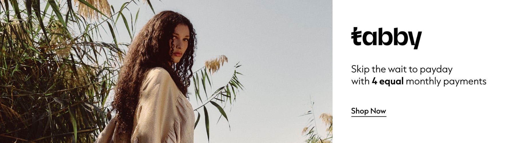 Tabby Interrupter Jan 2026