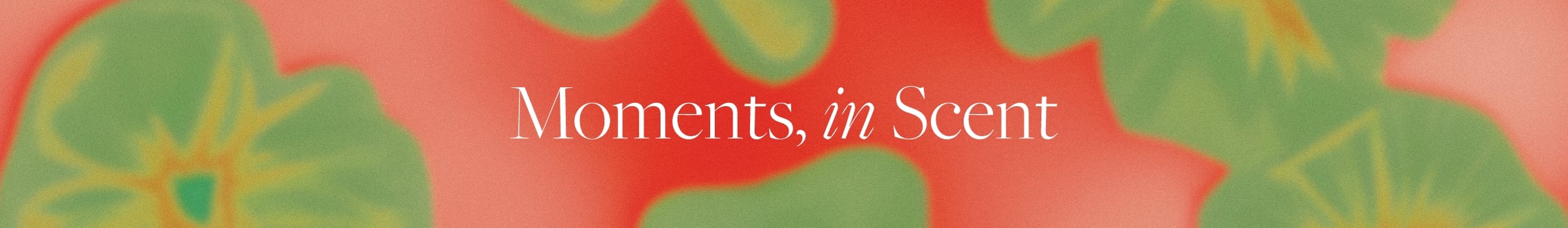 WK01_26-PLPBanner-BTY-Extravaganza