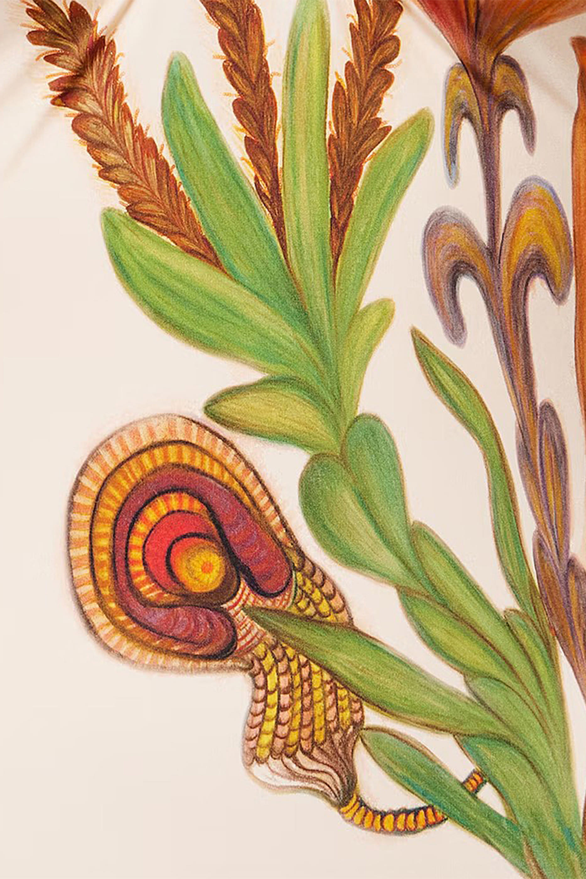 Monterey Strapless Maillot Swimsuit