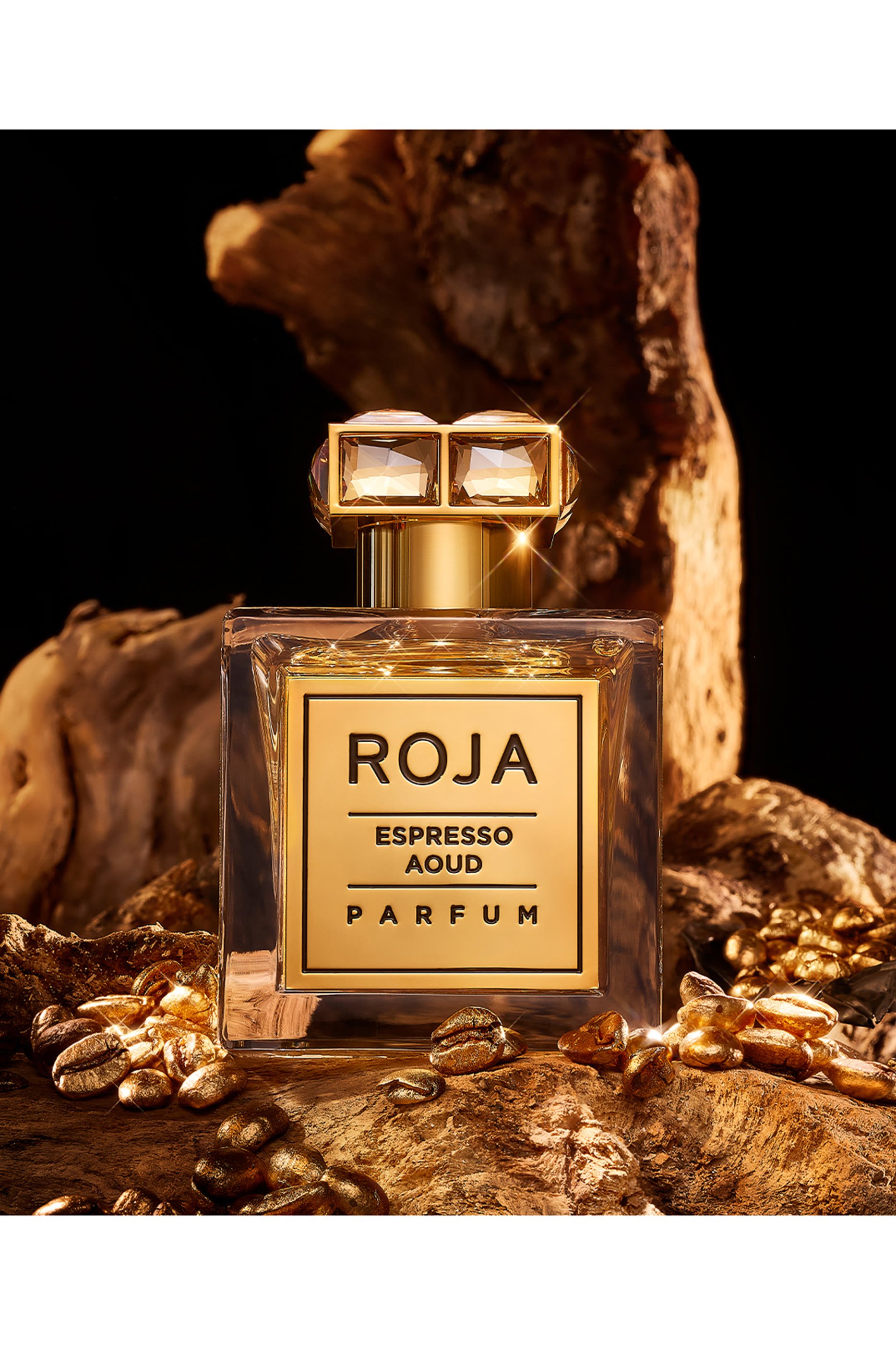 Espresso Aoud Parfum 