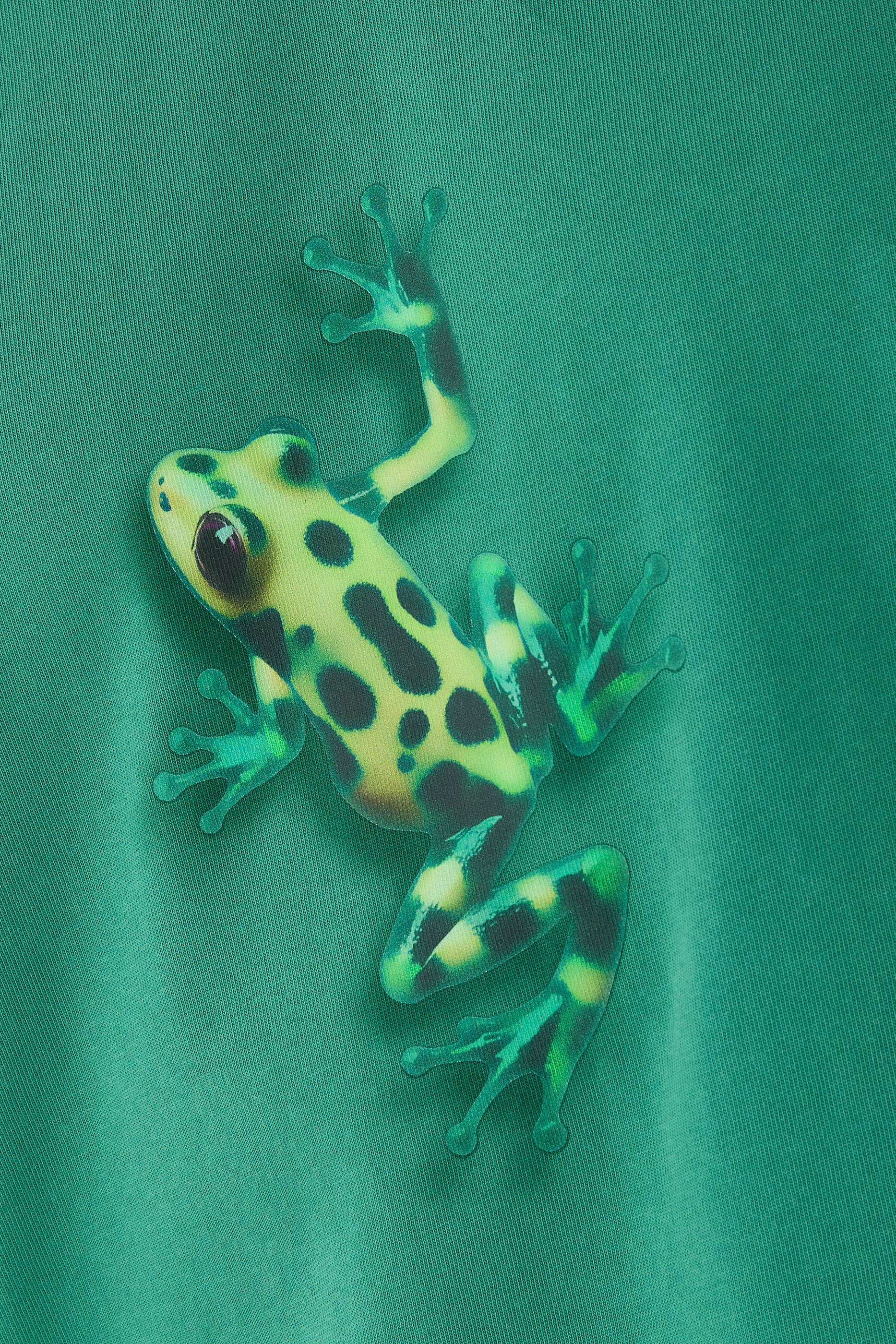 Jumping Frog T-Shirt