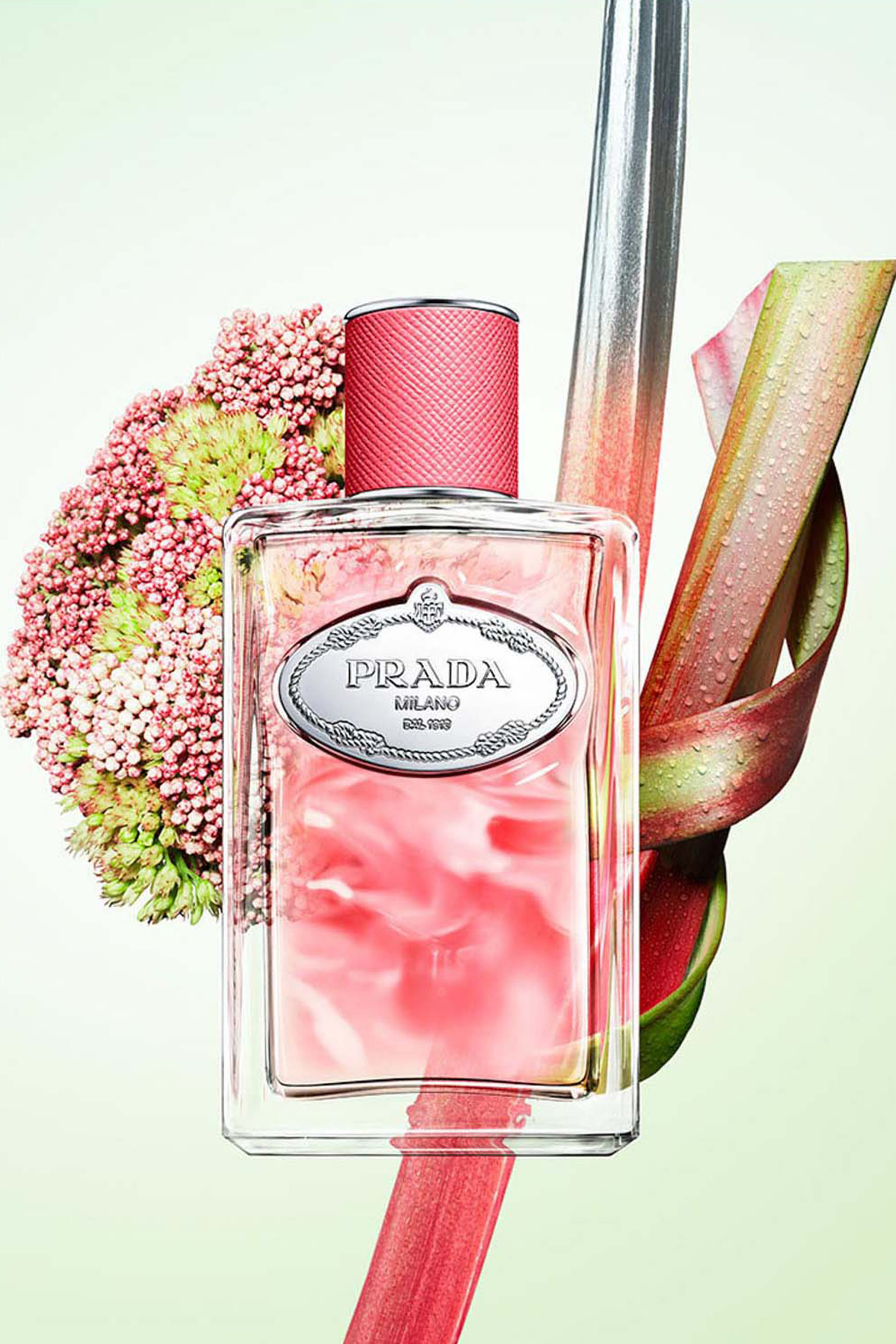 Infusion de Rhubarbe Eau de Parfum