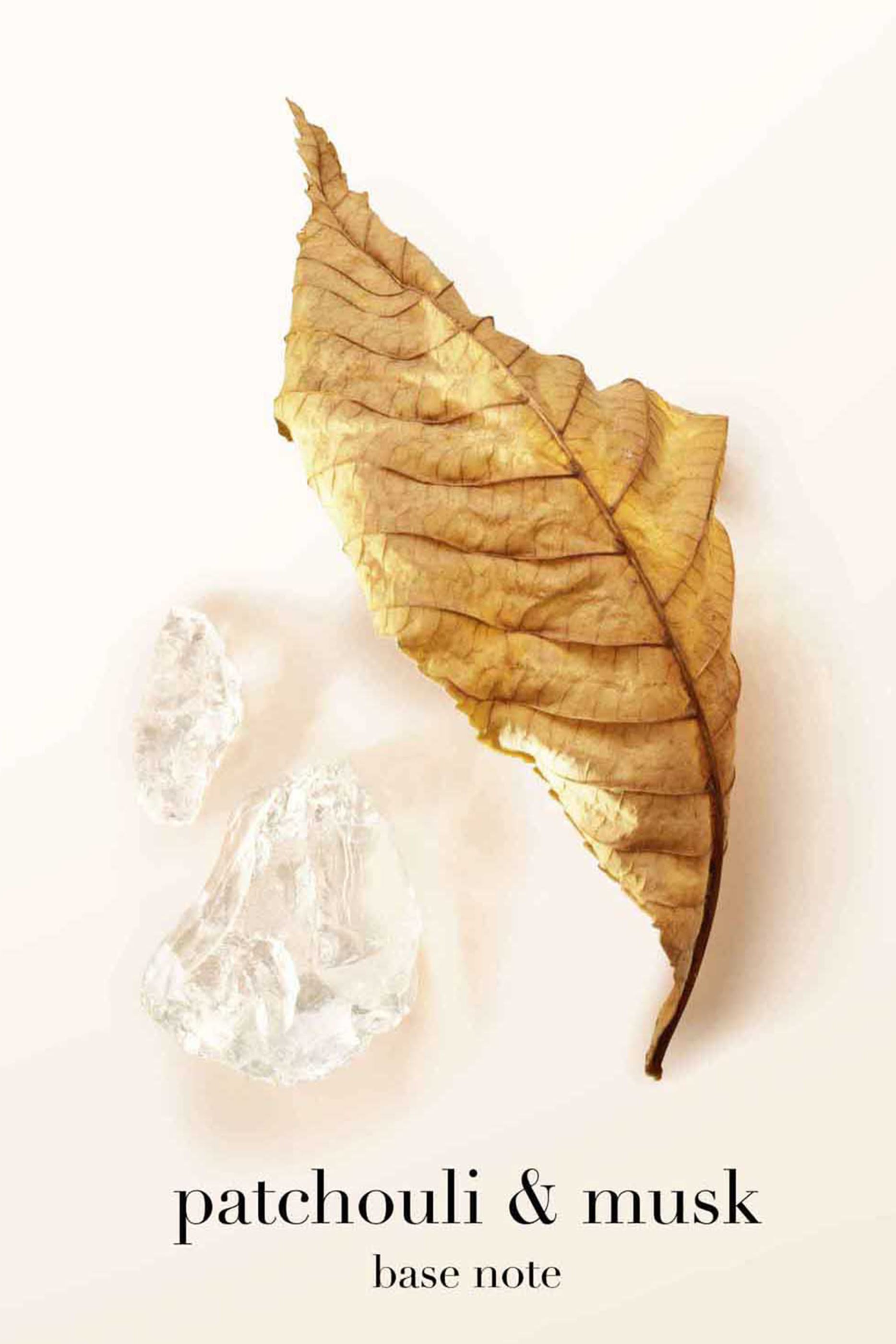 S&igrave; Eau de Parfum Refill Bottle