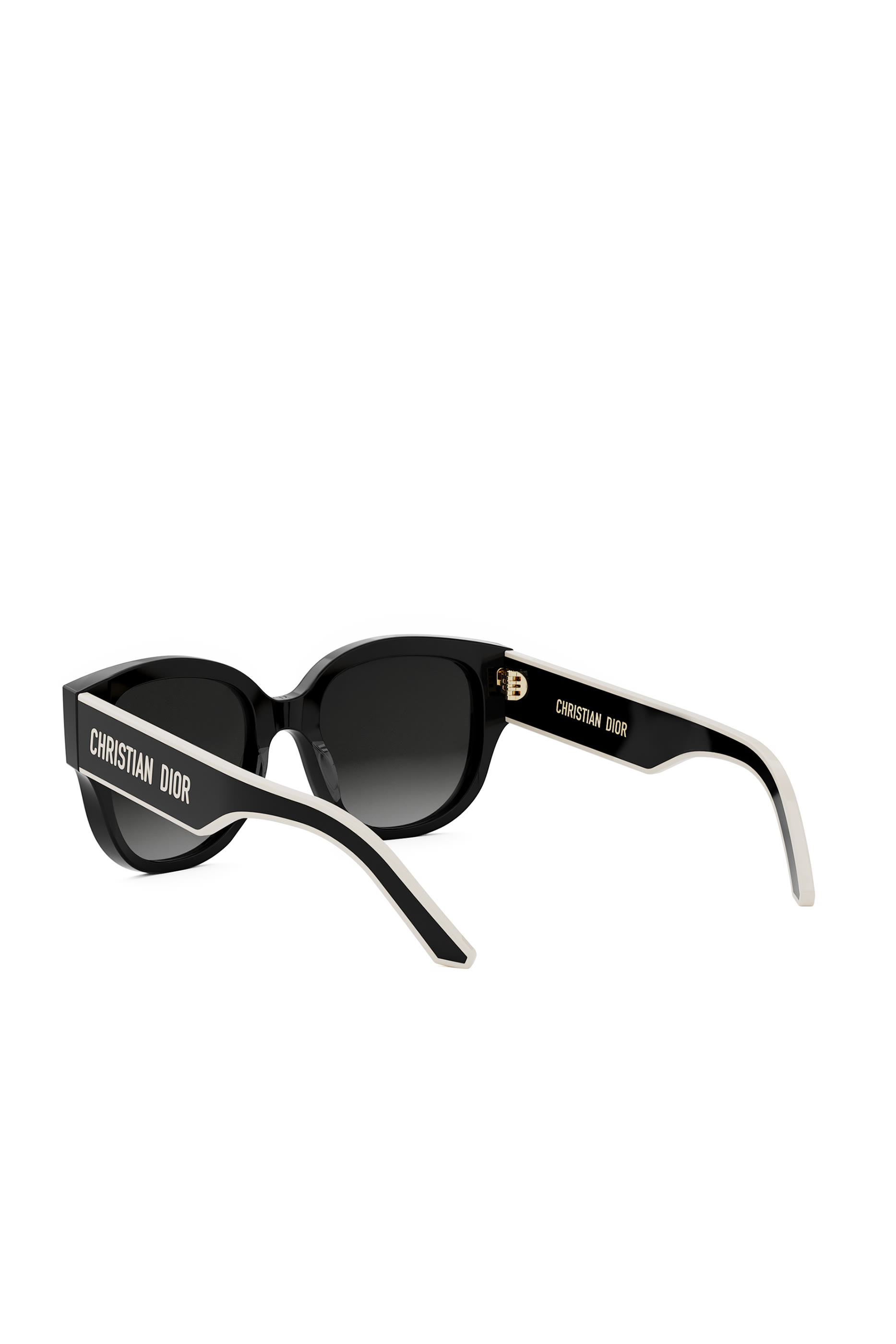 Diorpacific B2I Butterfly Sunglasses