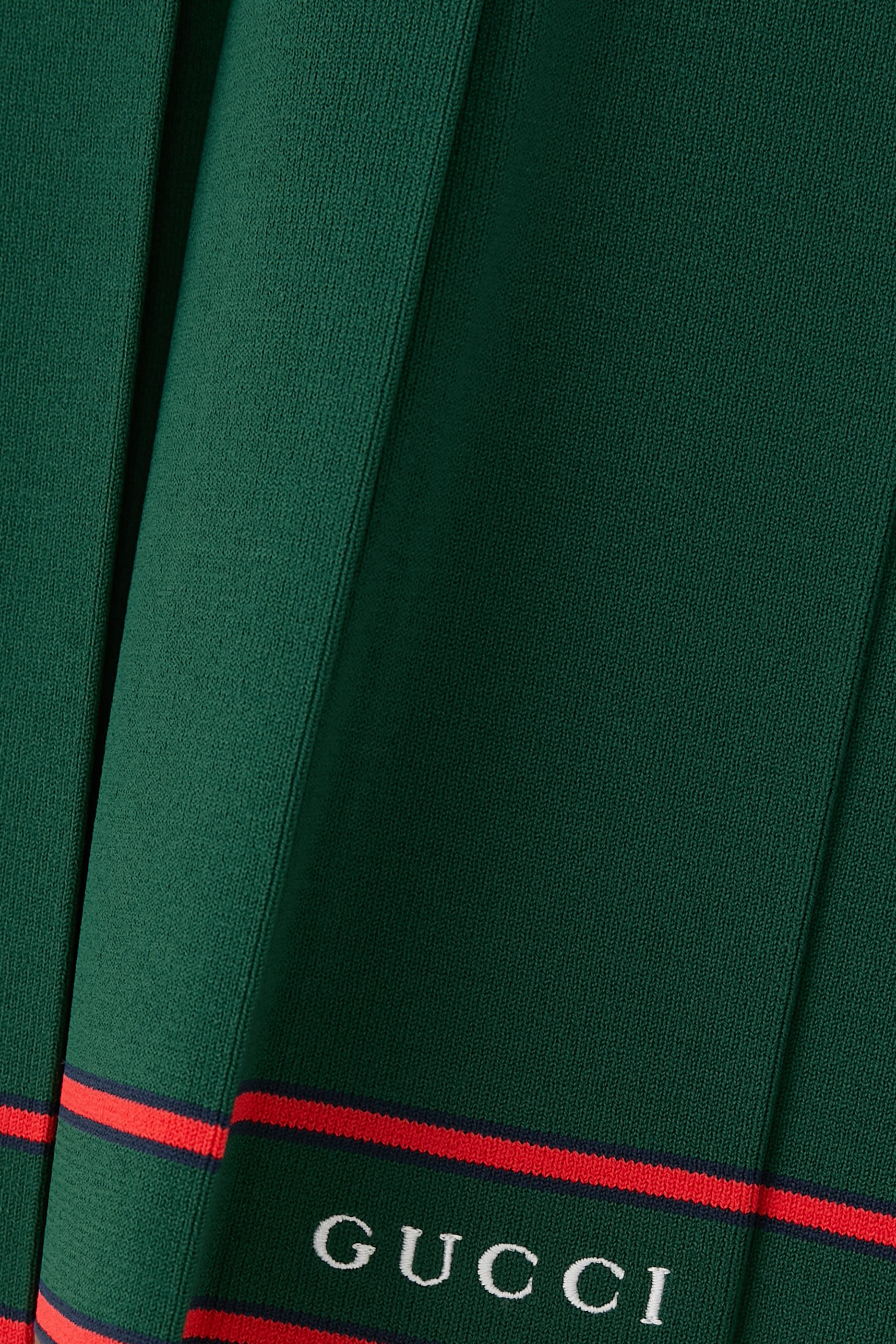 Pleated Skirt with Striped Trim 