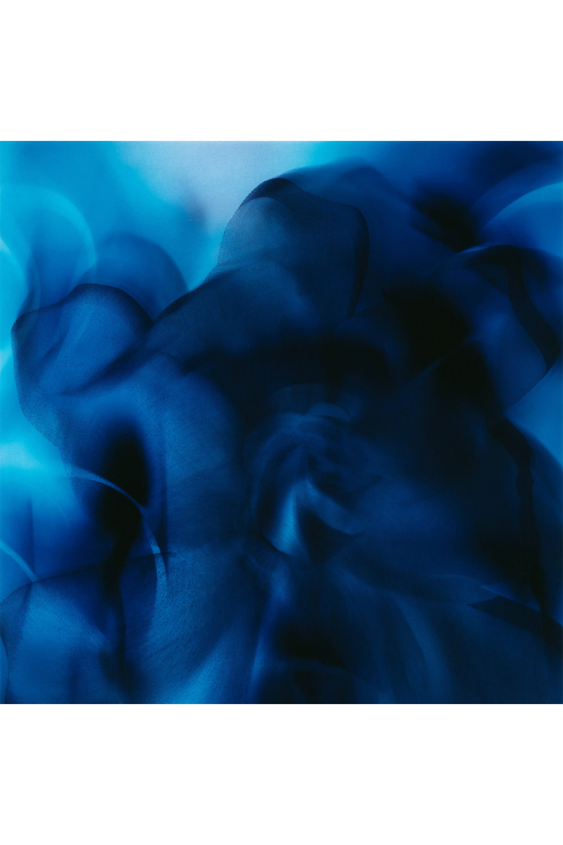 Casablanca Lily Extrait de Parfum