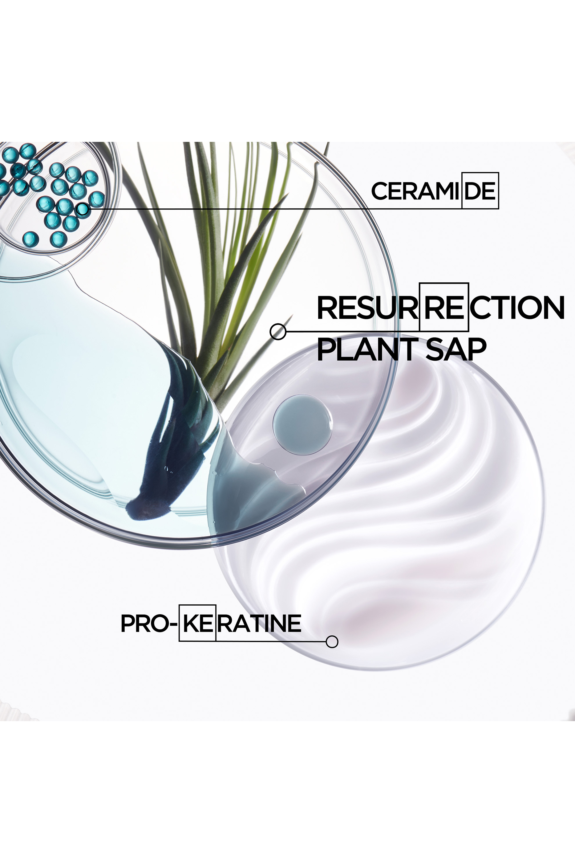 R&eacute;sistance Bain Force Architecte Shampoo