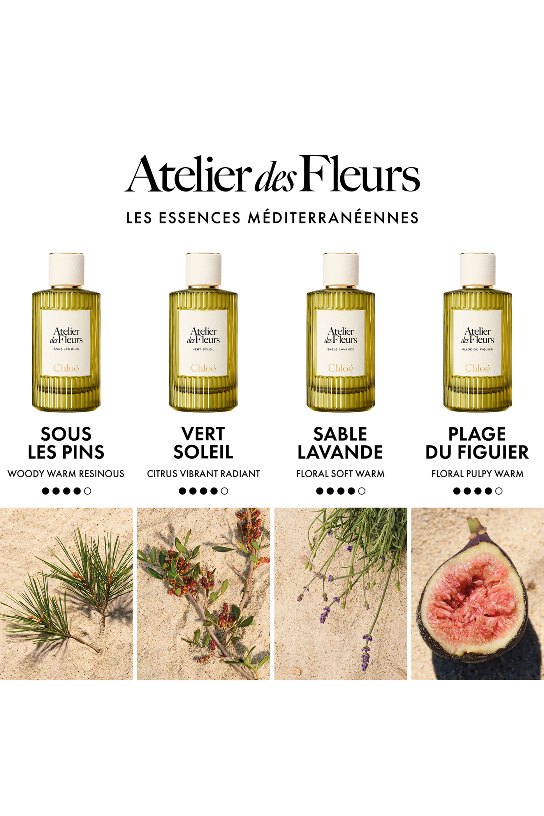 Atelier des Fleurs Sous les Pins Eau de Parfum