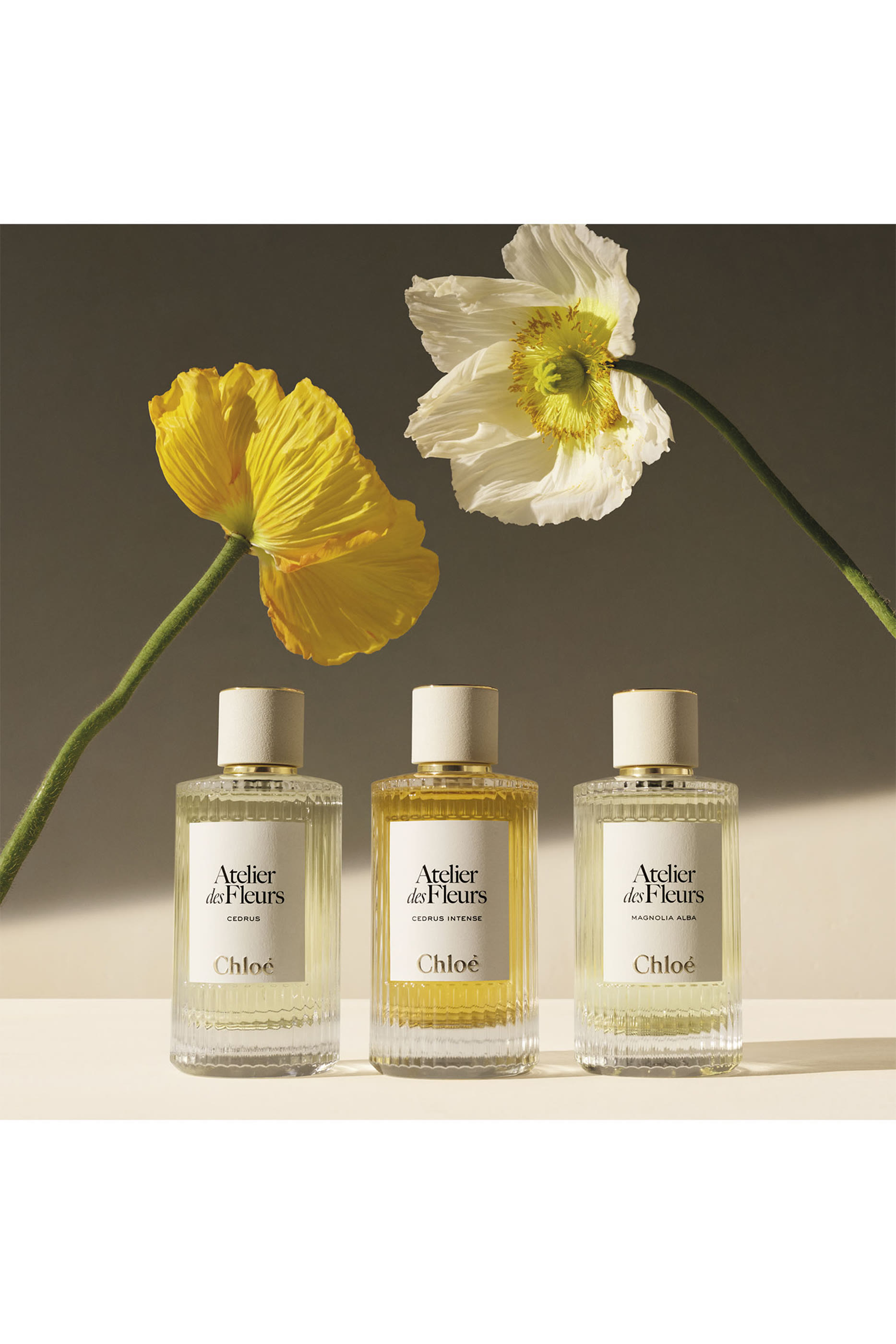 Atelier Des Fleurs Naturelle Iris Eau De Parfum