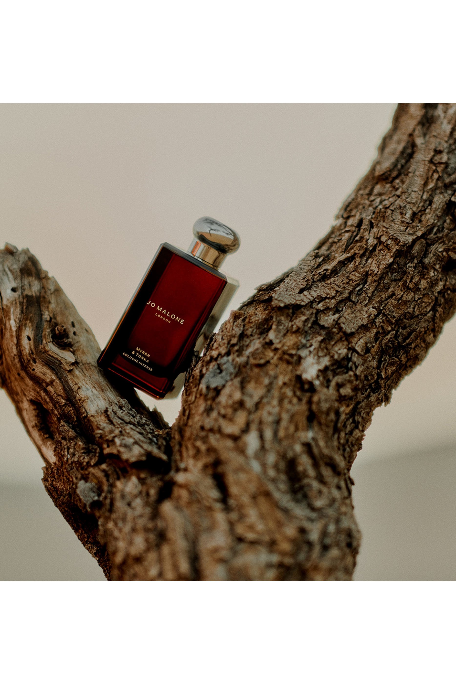 Myrrh & Tonka Cologne Intense Eau de Parfum