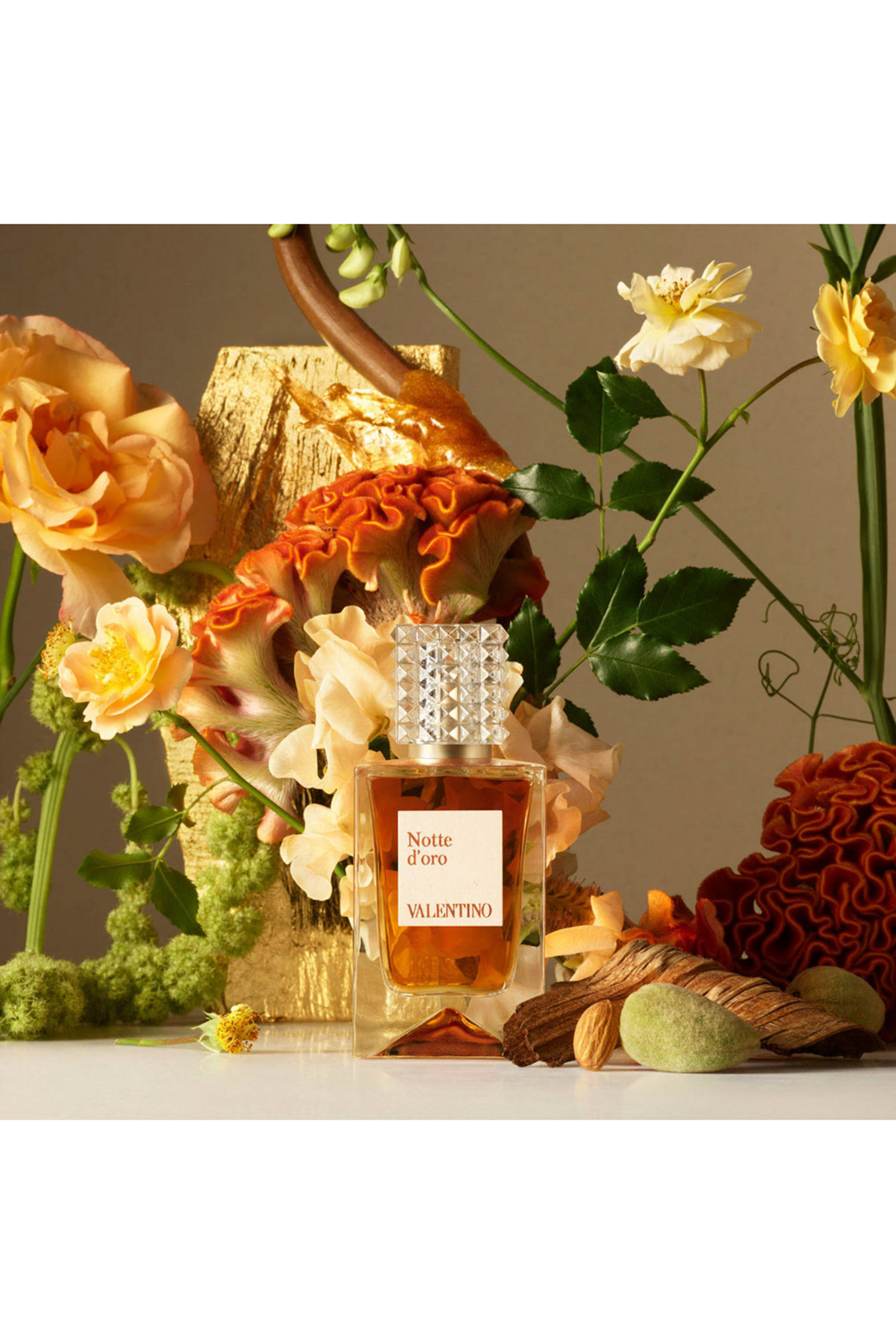 Anatomy Of Dreams - Notte D'oro Parfum