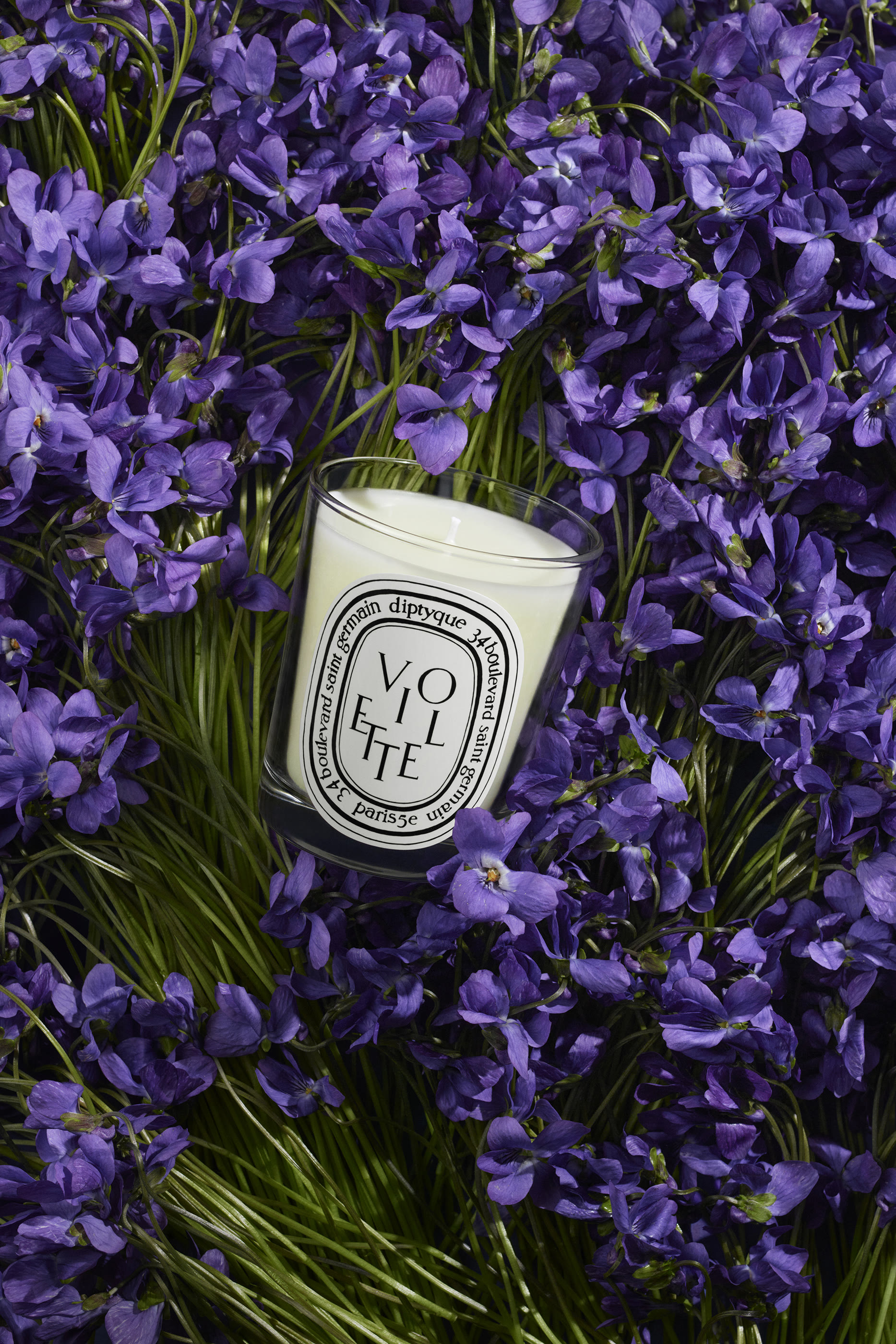 Violette Candle