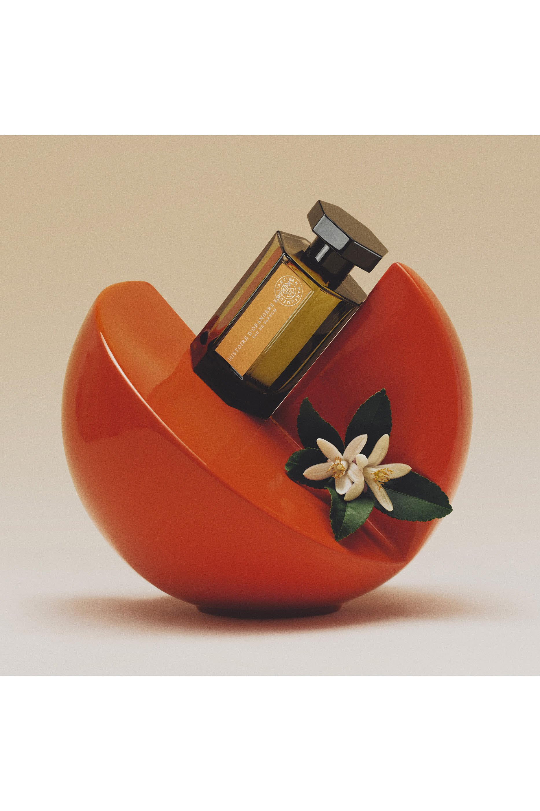 Histoire d'Orangers Extr&ecirc;me 