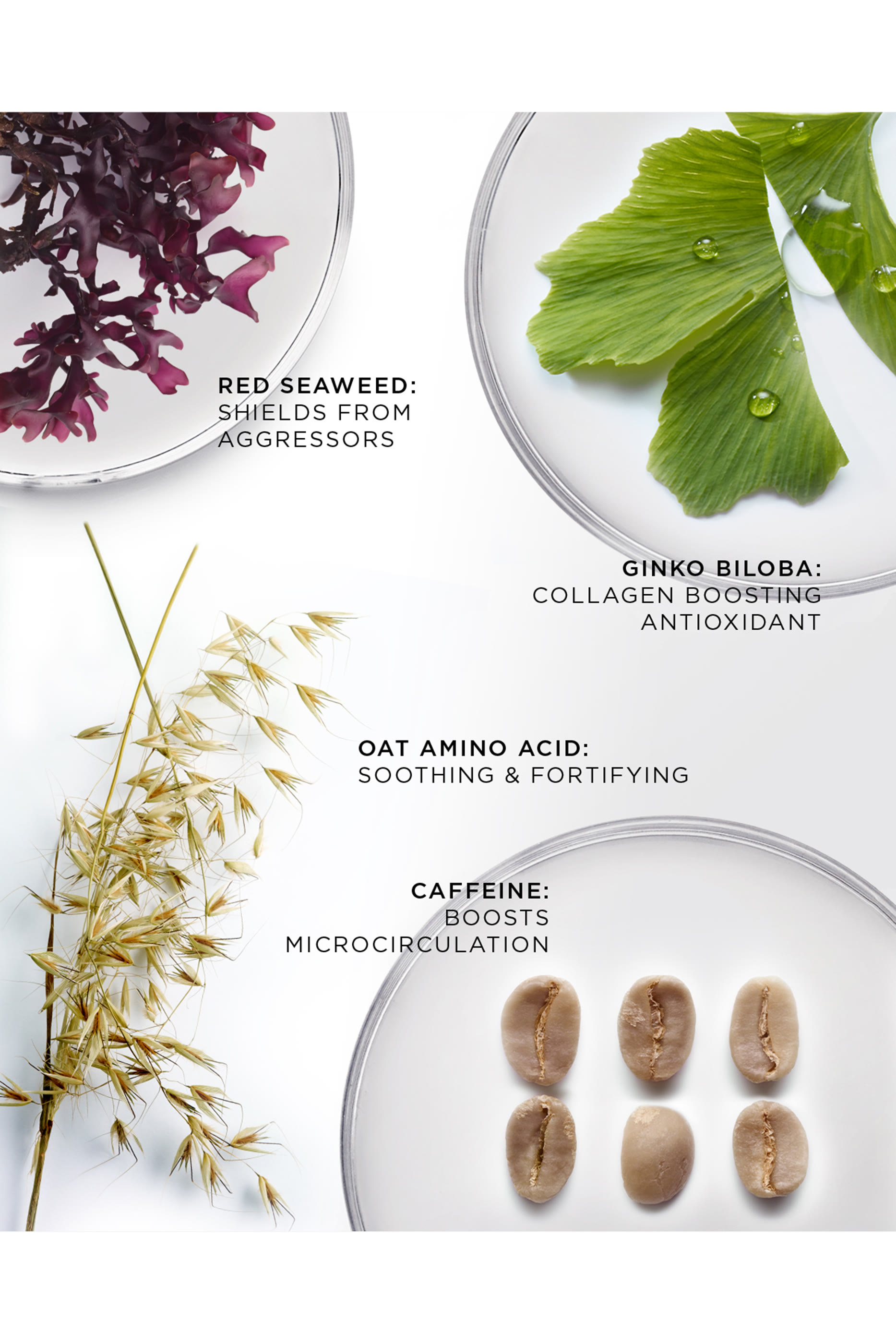 The Brilliant Vibrant Eye Infusion