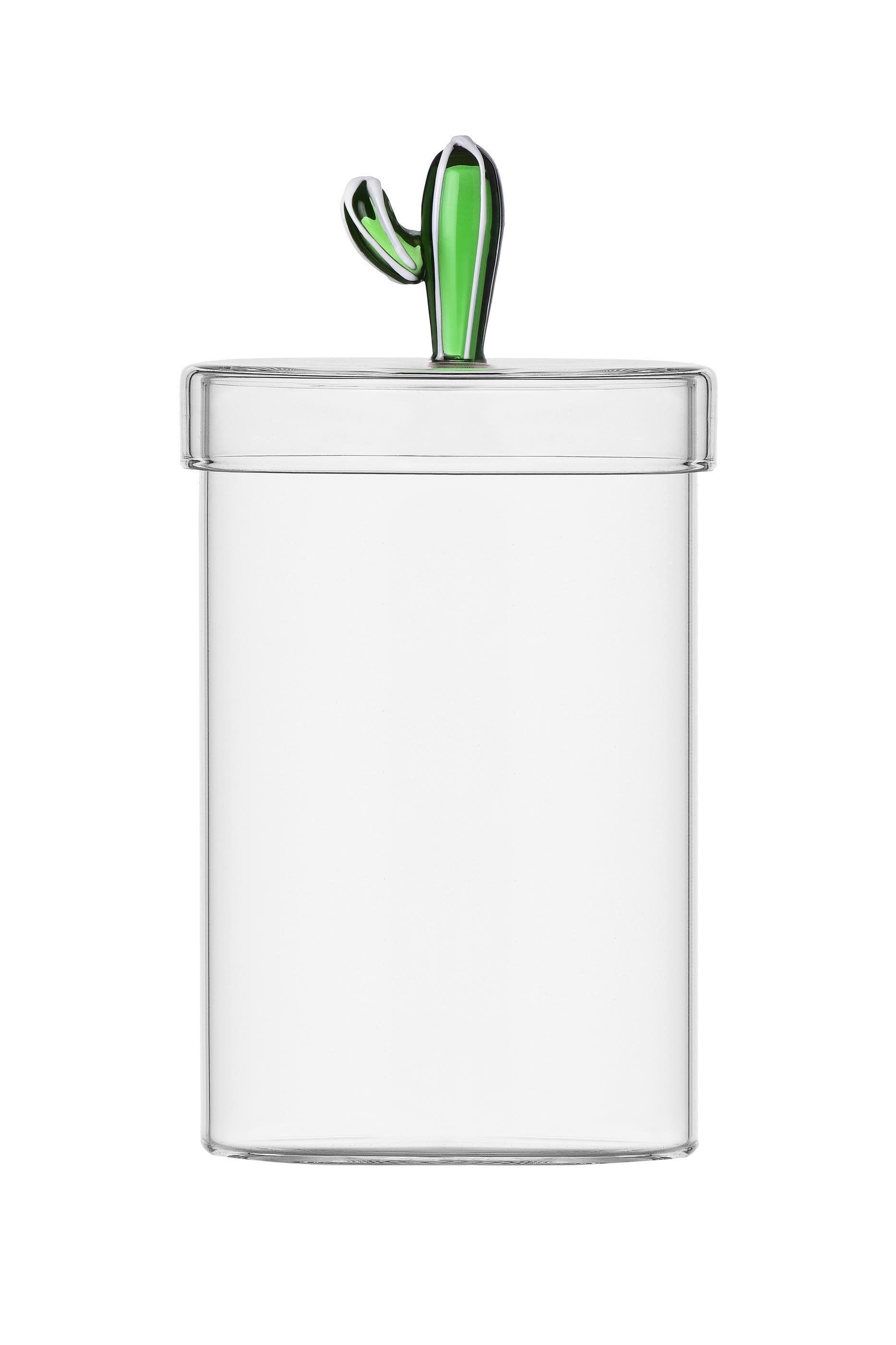 Desert Plants Green Cactus Box