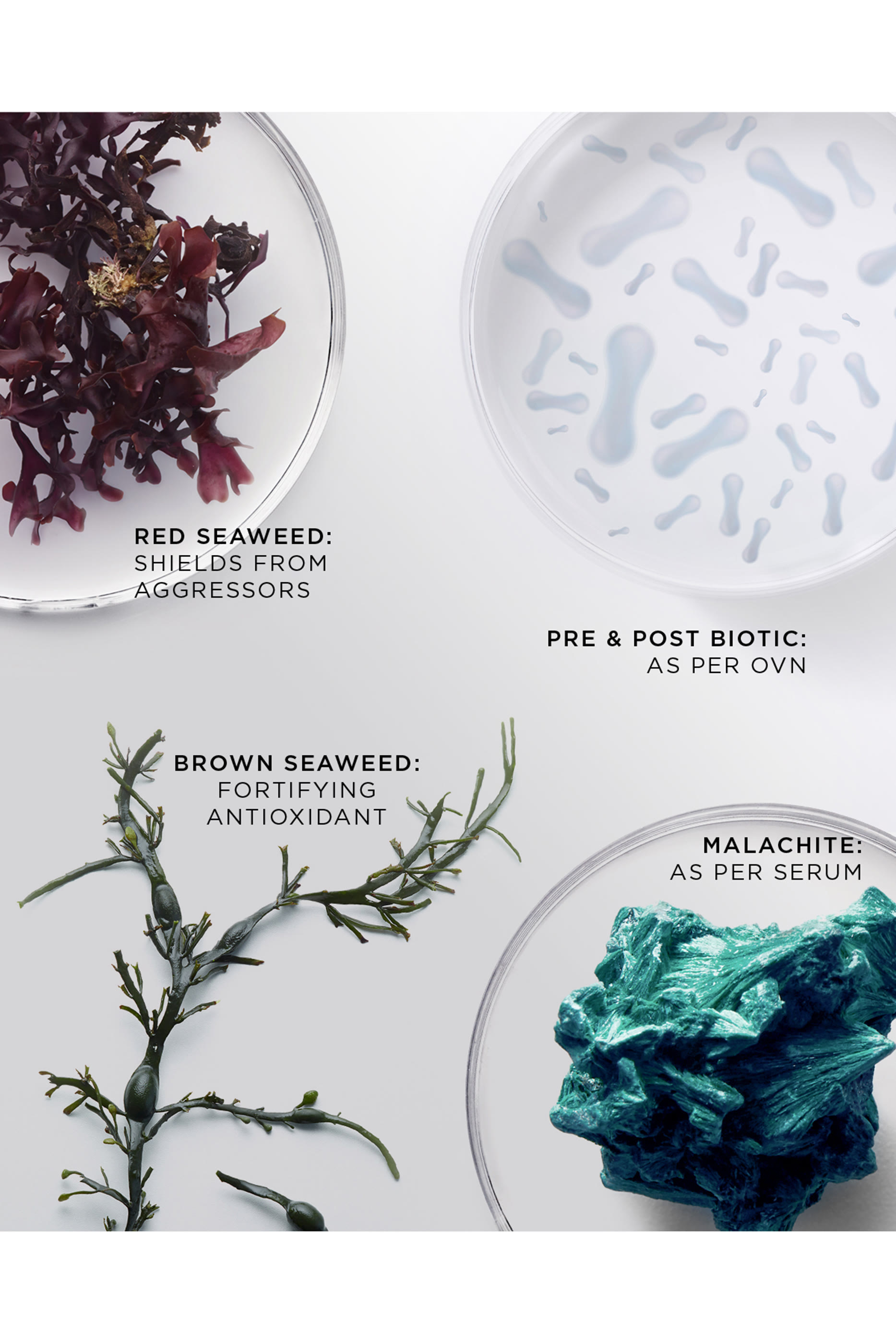 The Brilliant Radiant Resilience Moisturizer