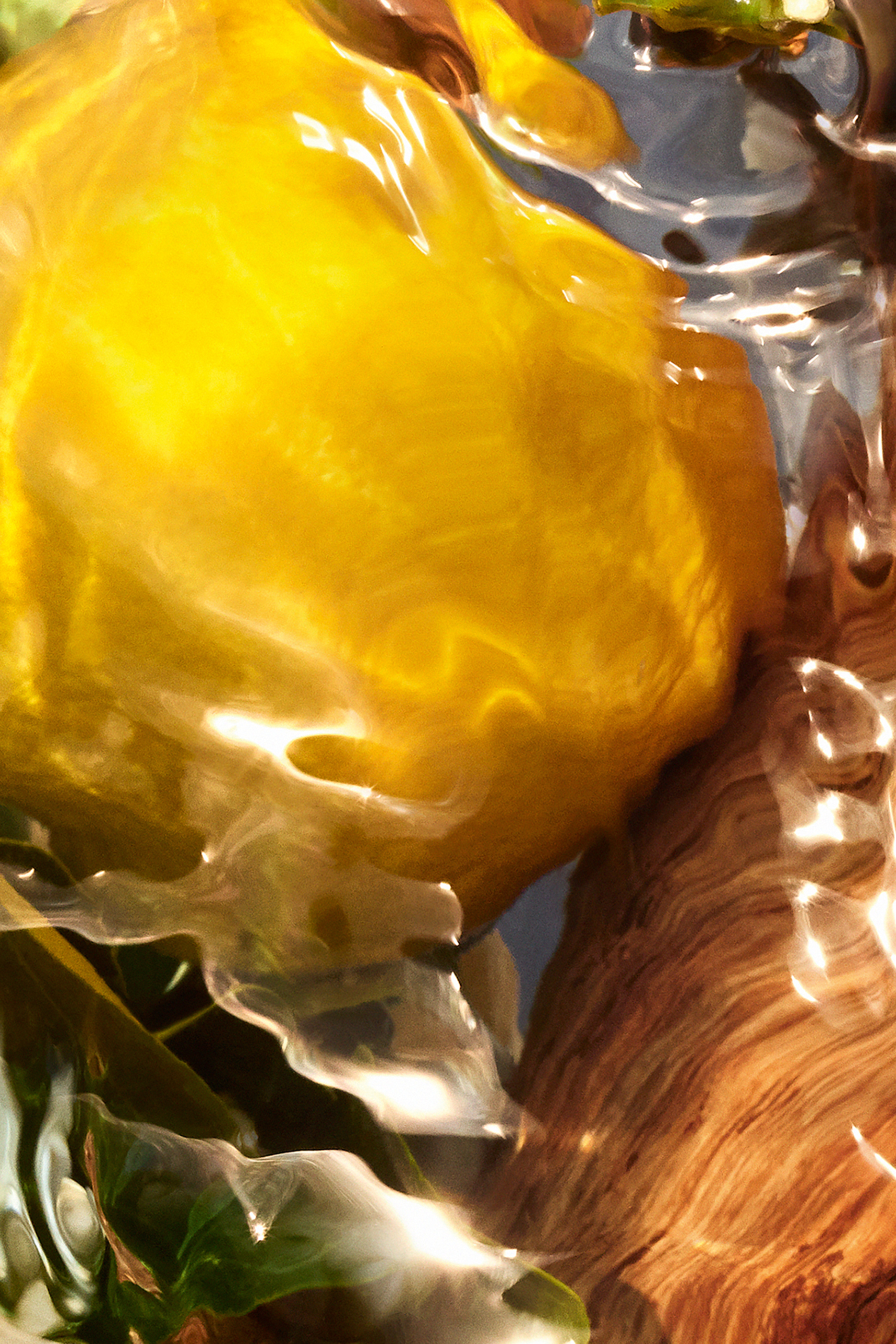 Aqua Allegoria Forte Oud Yuzu Eau de Parfum