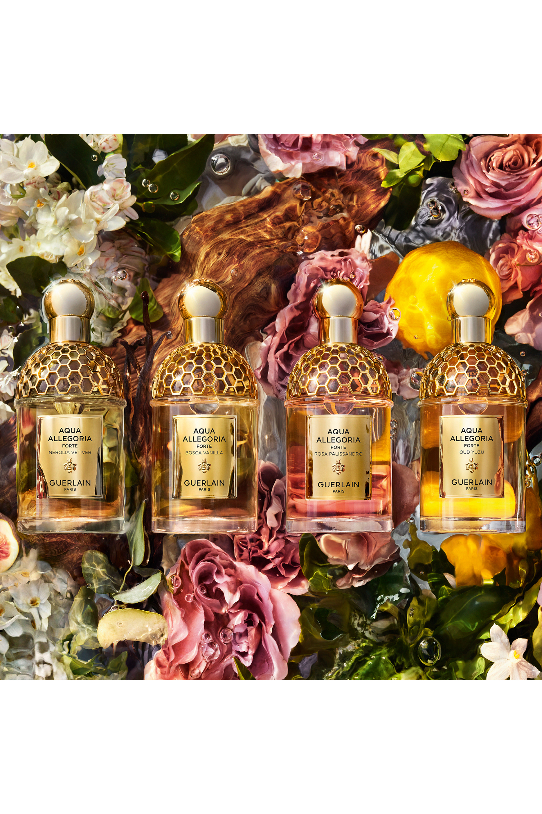 Aqua Allegoria Forte Oud Yuzu Eau de Parfum